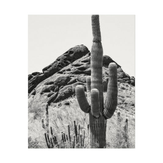 Reach For The Sky – Western Textured Watercolor Matte Posters