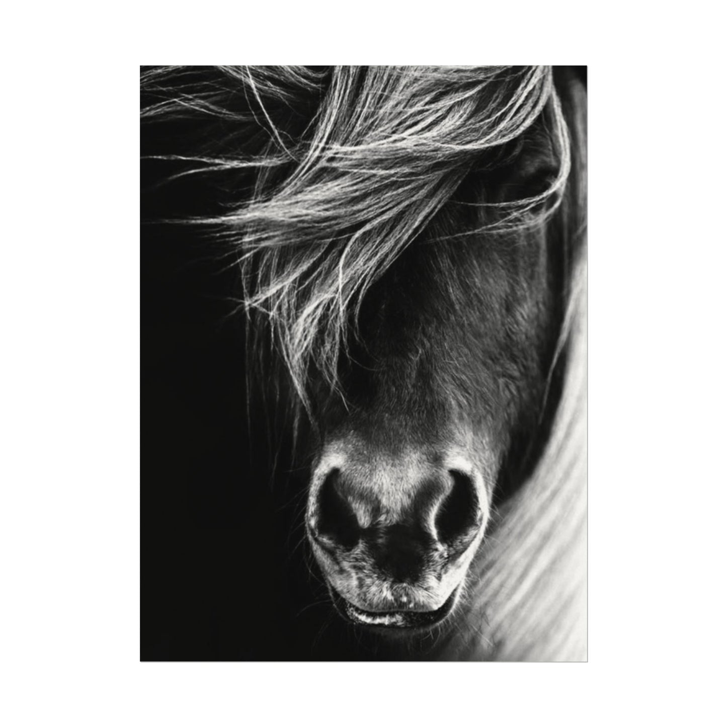 Wild Winds – Western Textured Watercolor Matte Posters