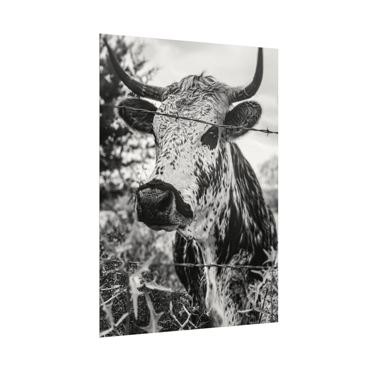 Barbed & Brave Western Textured Watercolor Matte Posters