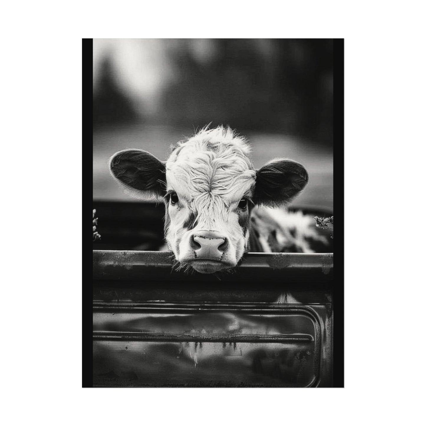 Back Seat Bovine – Western Textured Watercolor Matte Posters