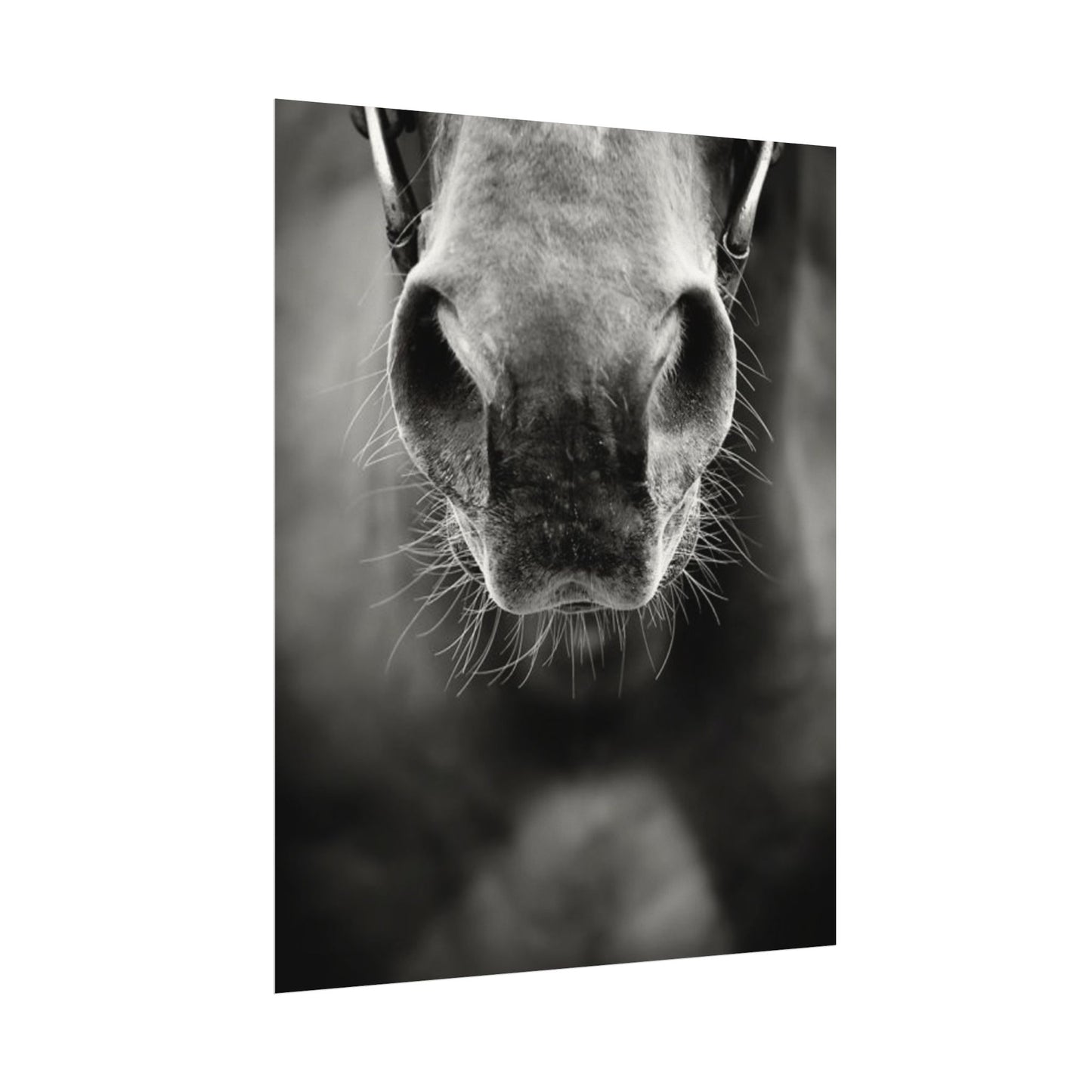 Be Patient Be Still – Western Textured Watercolor Matte Posters