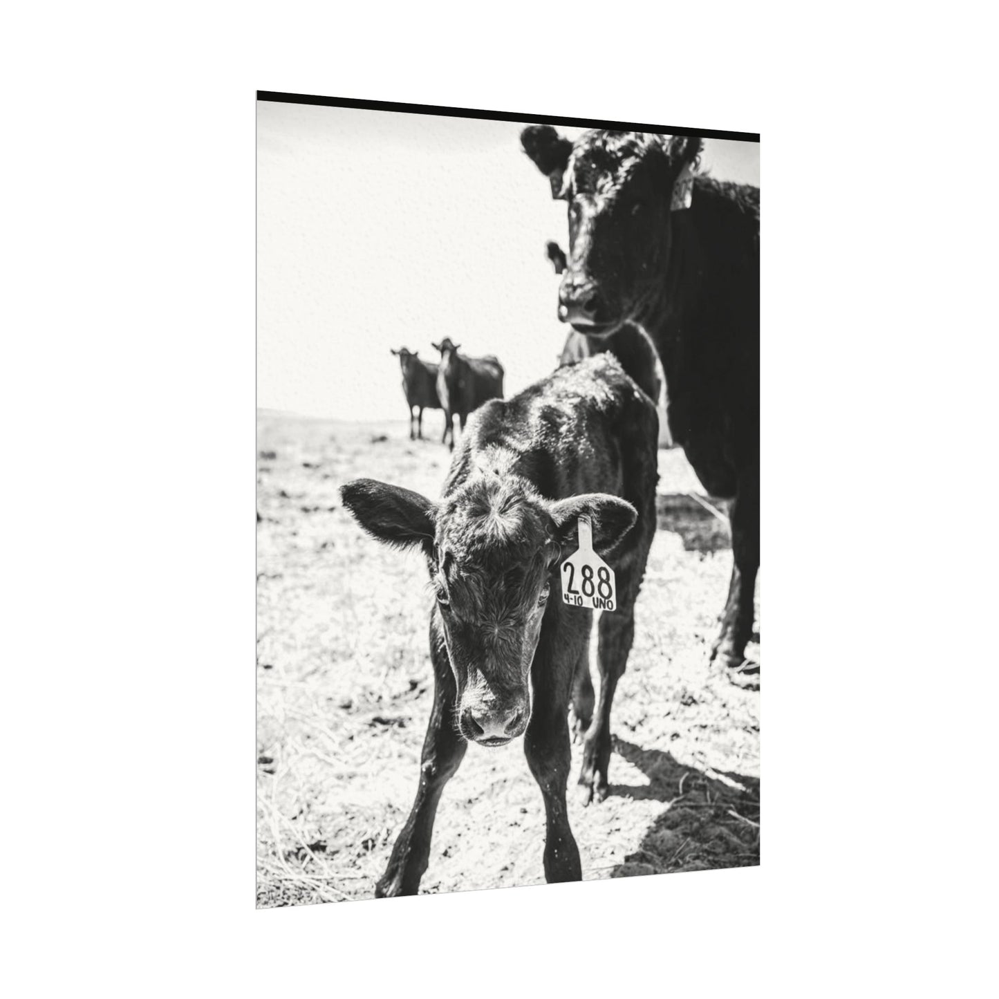 The Standing Legacy – Western Textured Watercolor Matte Posters