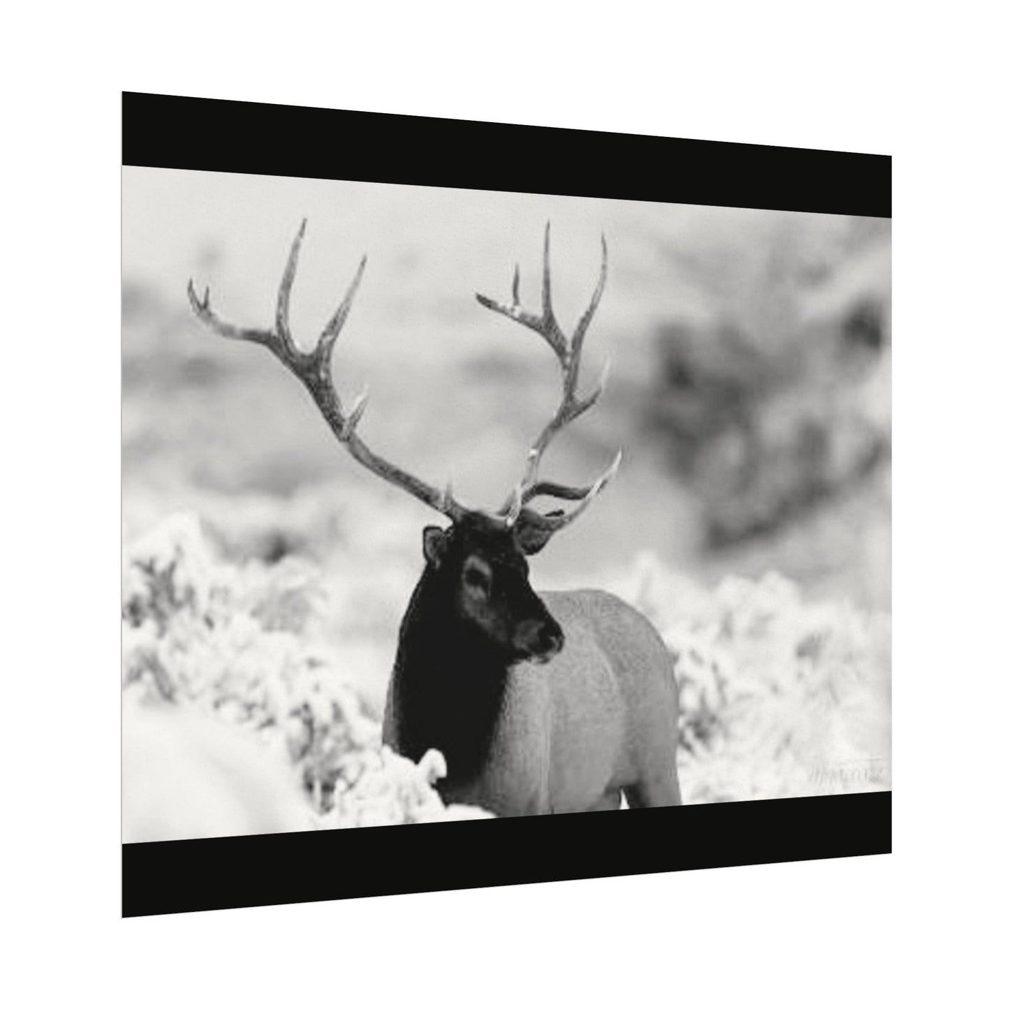 Majesty Of The North– Western Textured Watercolor Matte Posters