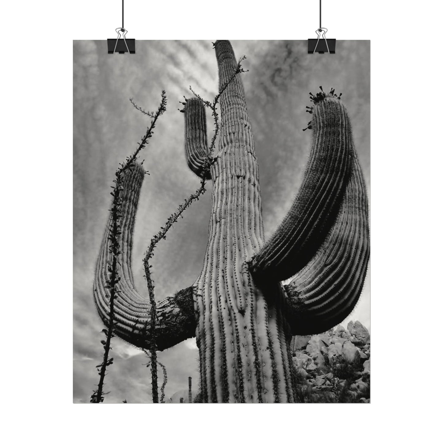 Desert Heights – Western Textured Watercolor Matte Posters