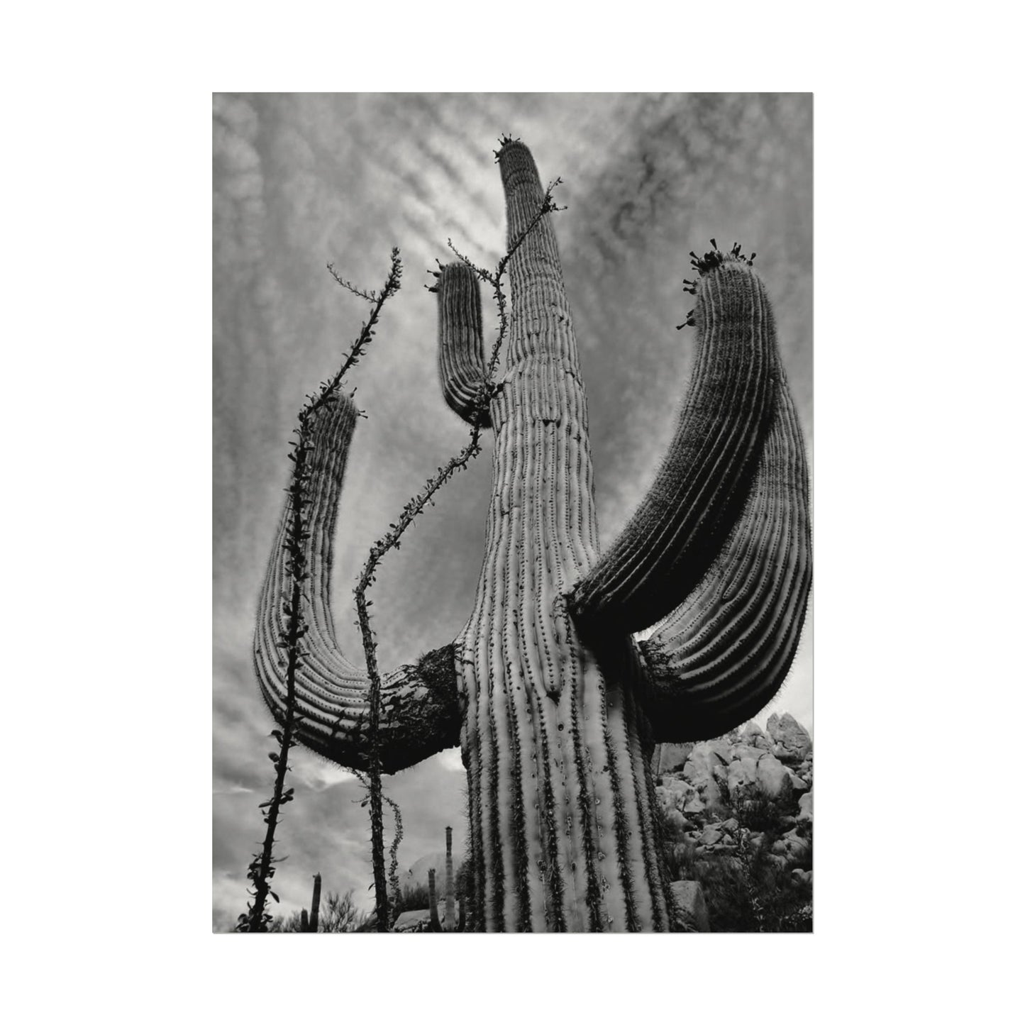 Desert Heights – Western Textured Watercolor Matte Posters