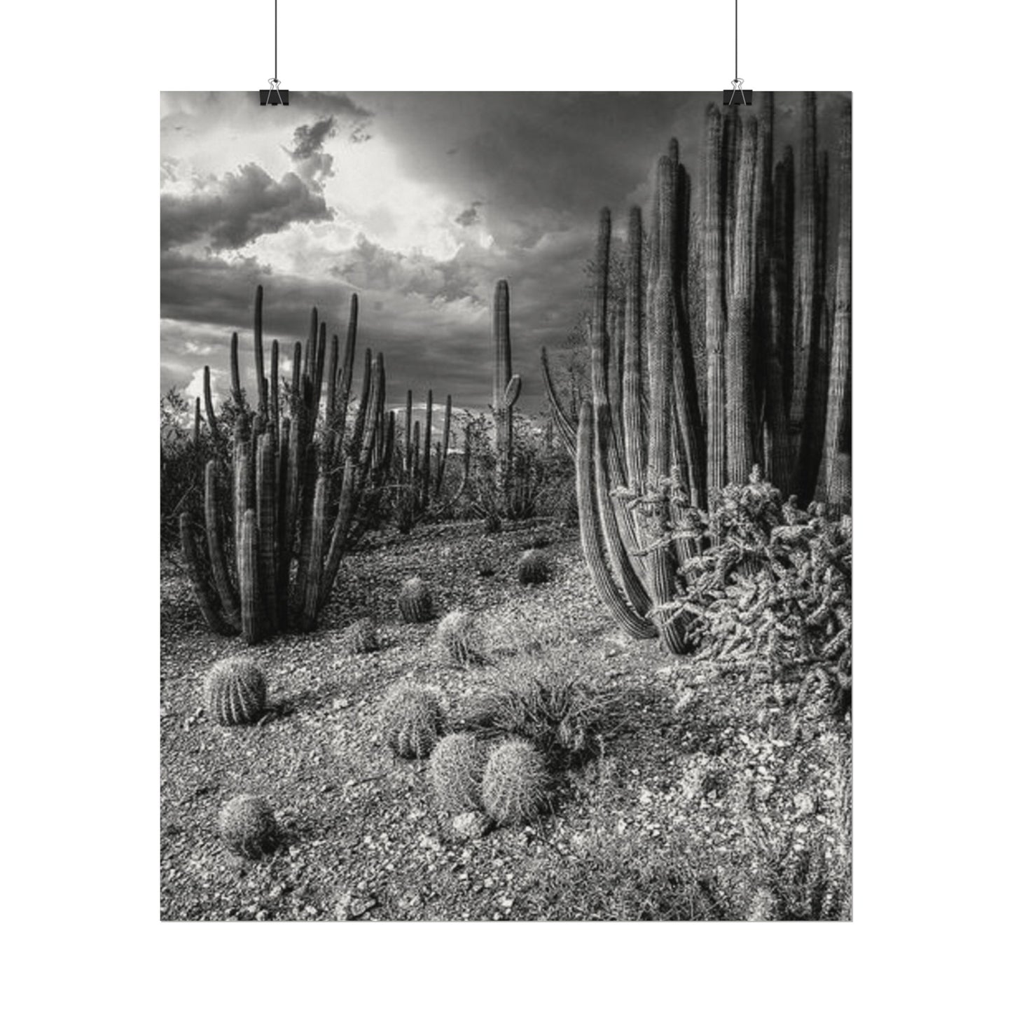 Desert Wastelands – Western Textured Watercolor Matte Posters