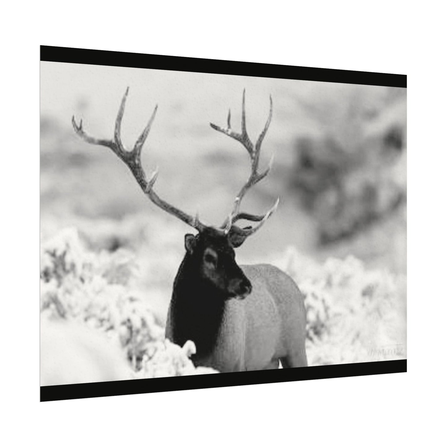 Majesty Of The North– Western Textured Watercolor Matte Posters