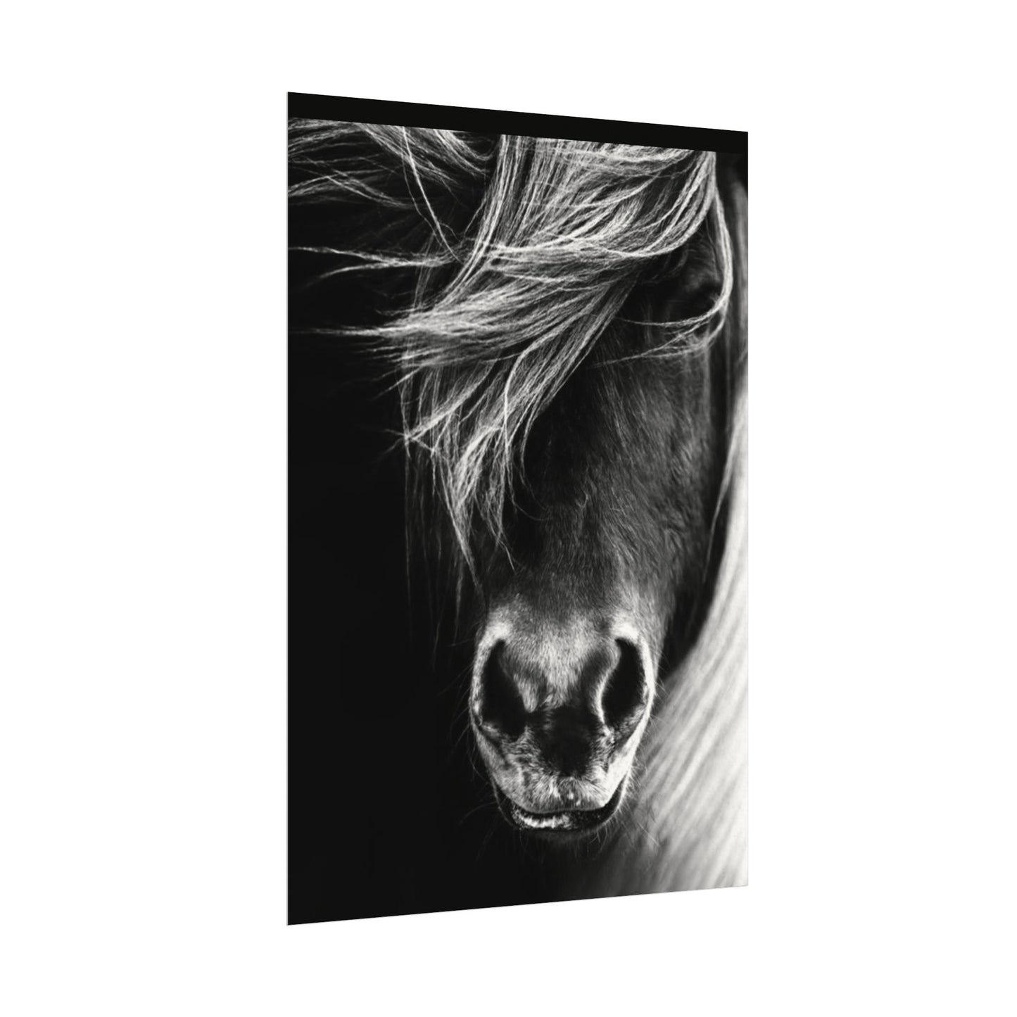 Wild Winds – Western Textured Watercolor Matte Posters