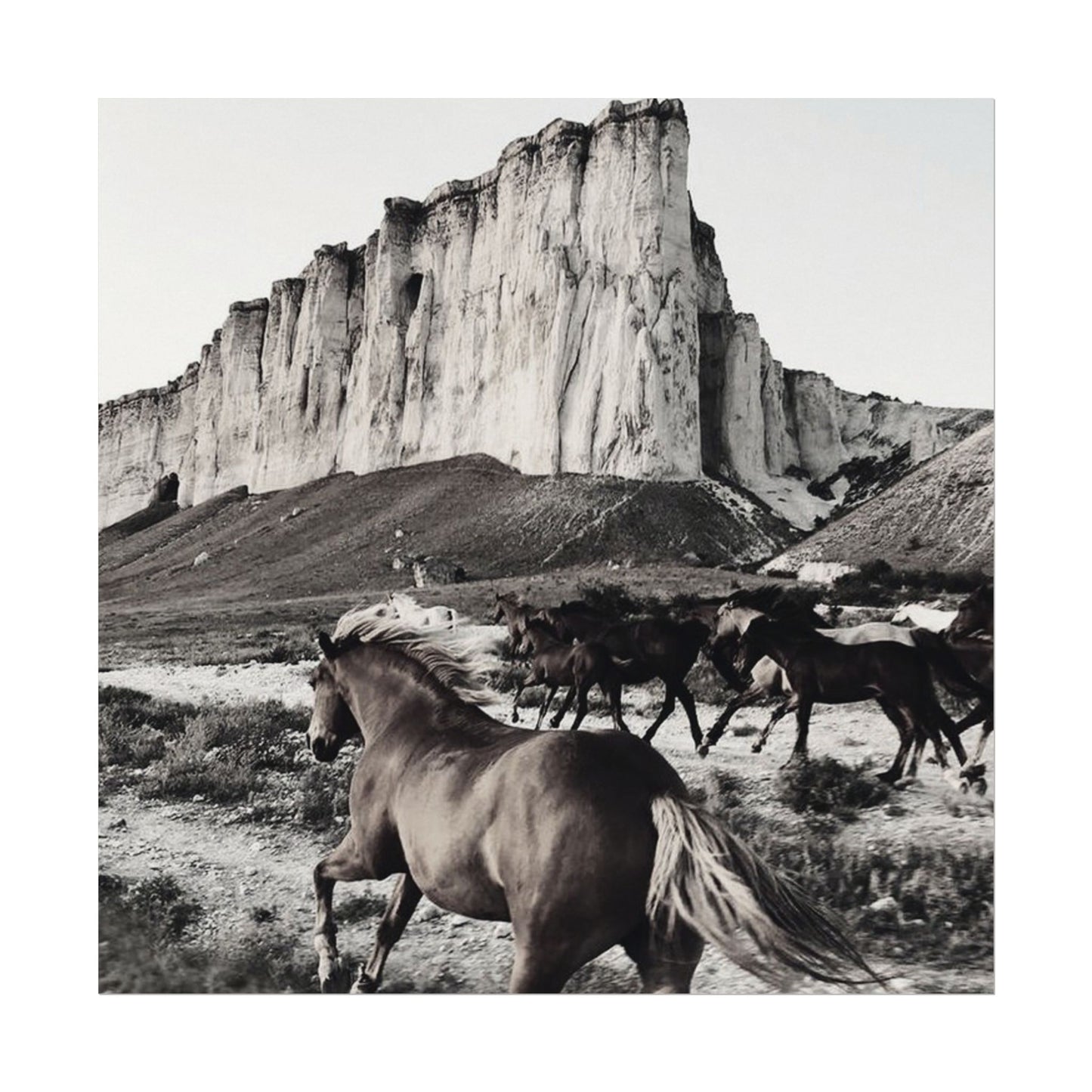 Untamed Spirit– Western Textured Watercolor Matte Posters