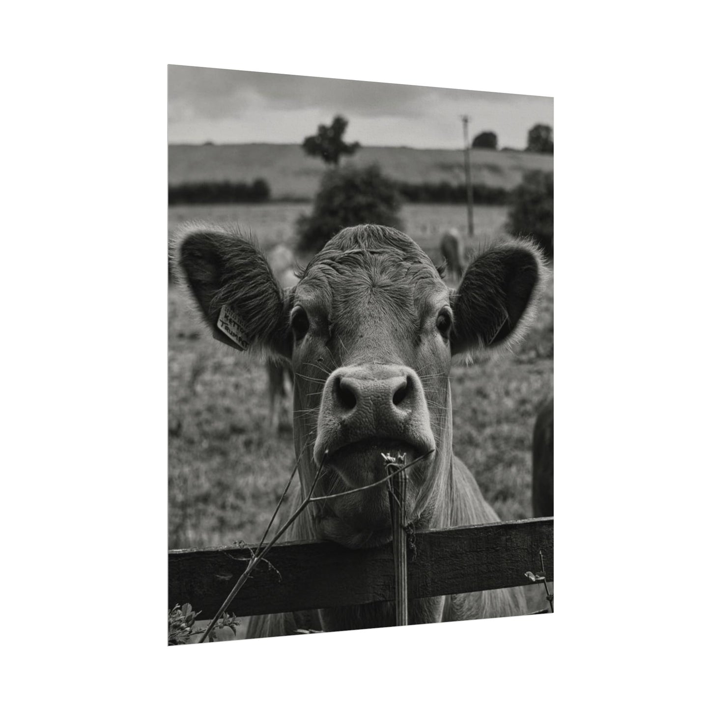 Rise & Shine – Western Textured Watercolor Matte Posters