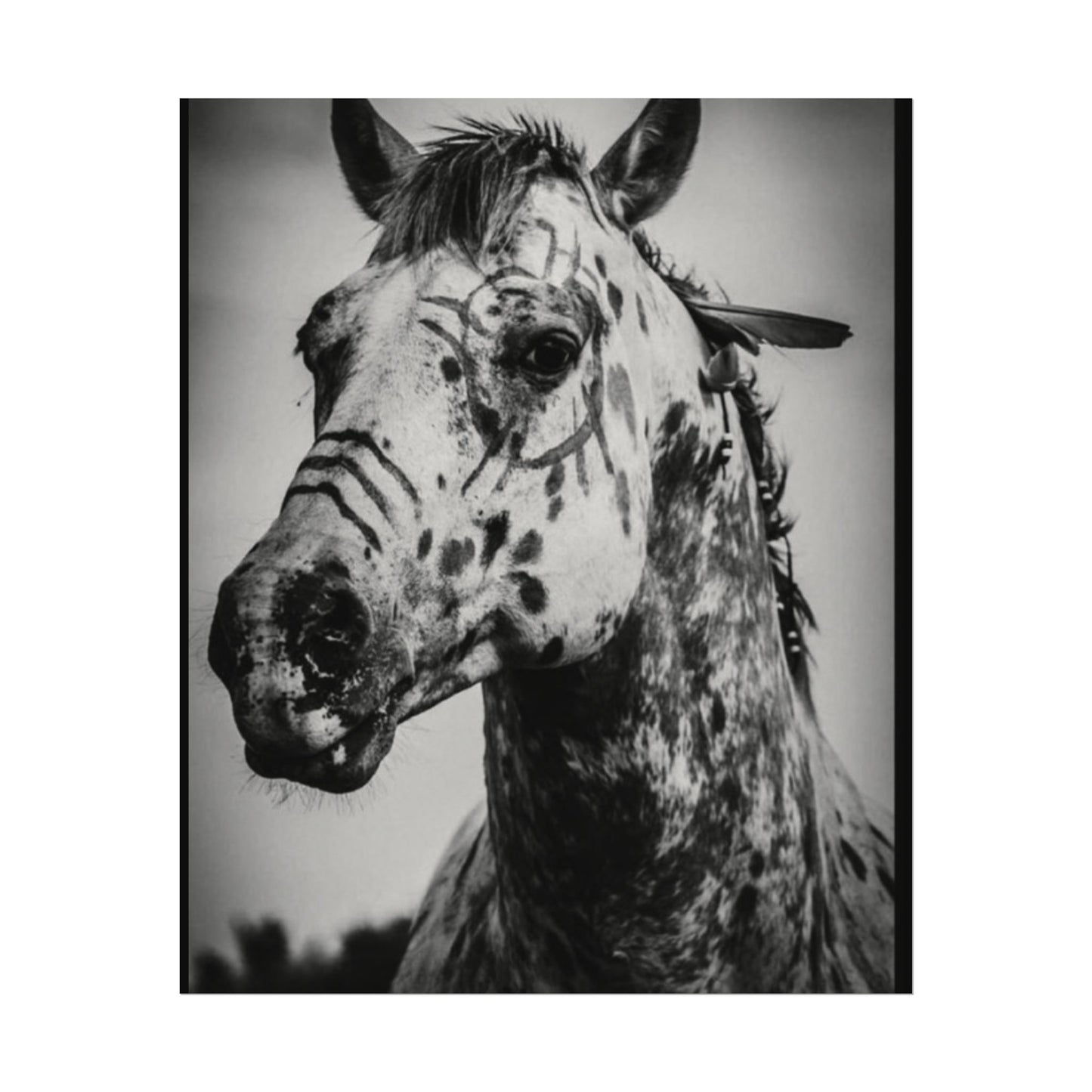 Pale Rider – Western Textured Watercolor Matte Posters