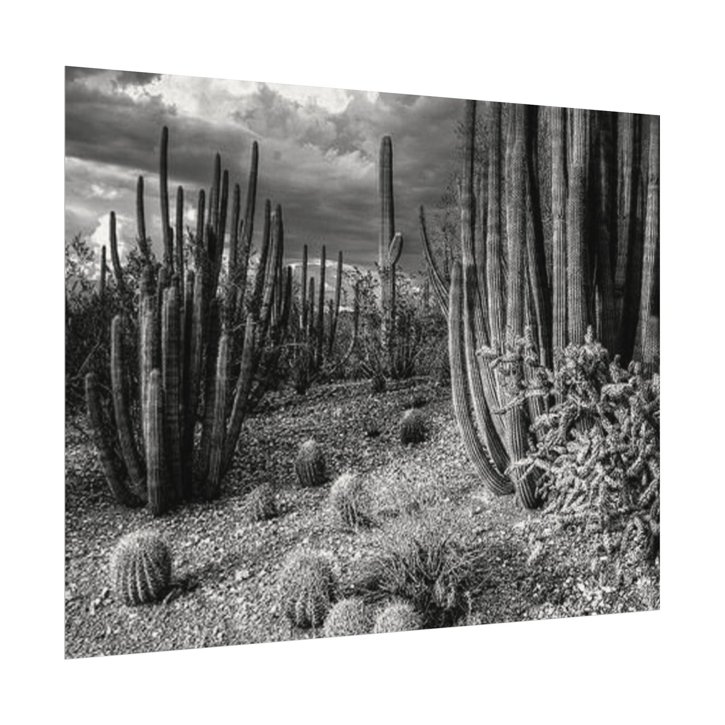 Desert Wastelands – Western Textured Watercolor Matte Posters