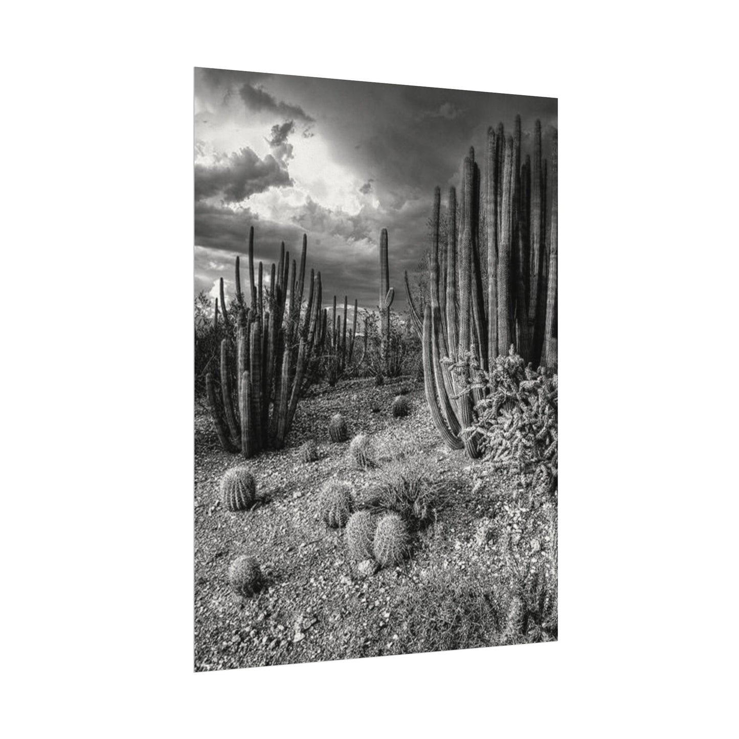 Desert Wastelands – Western Textured Watercolor Matte Posters