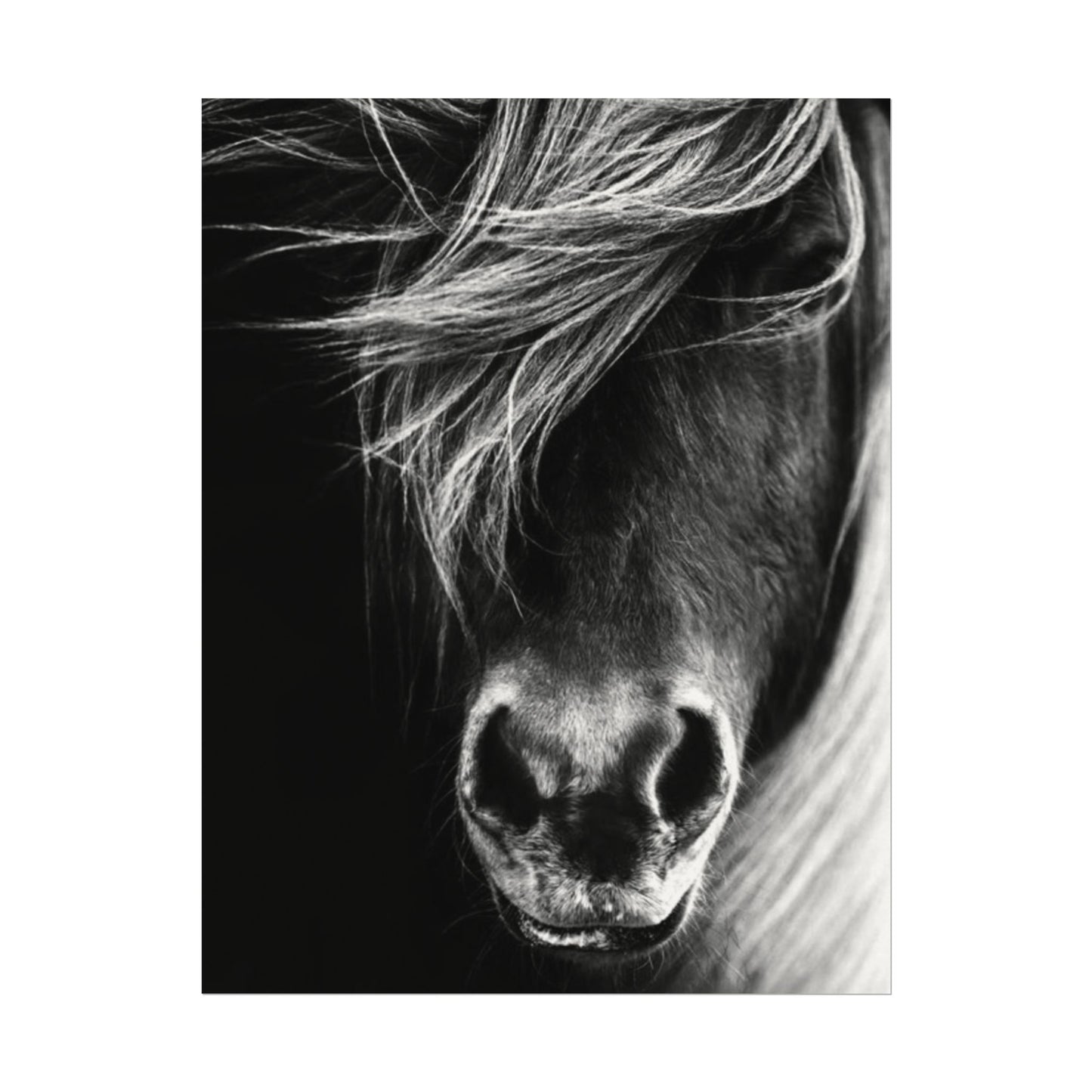 Wild Winds – Western Textured Watercolor Matte Posters