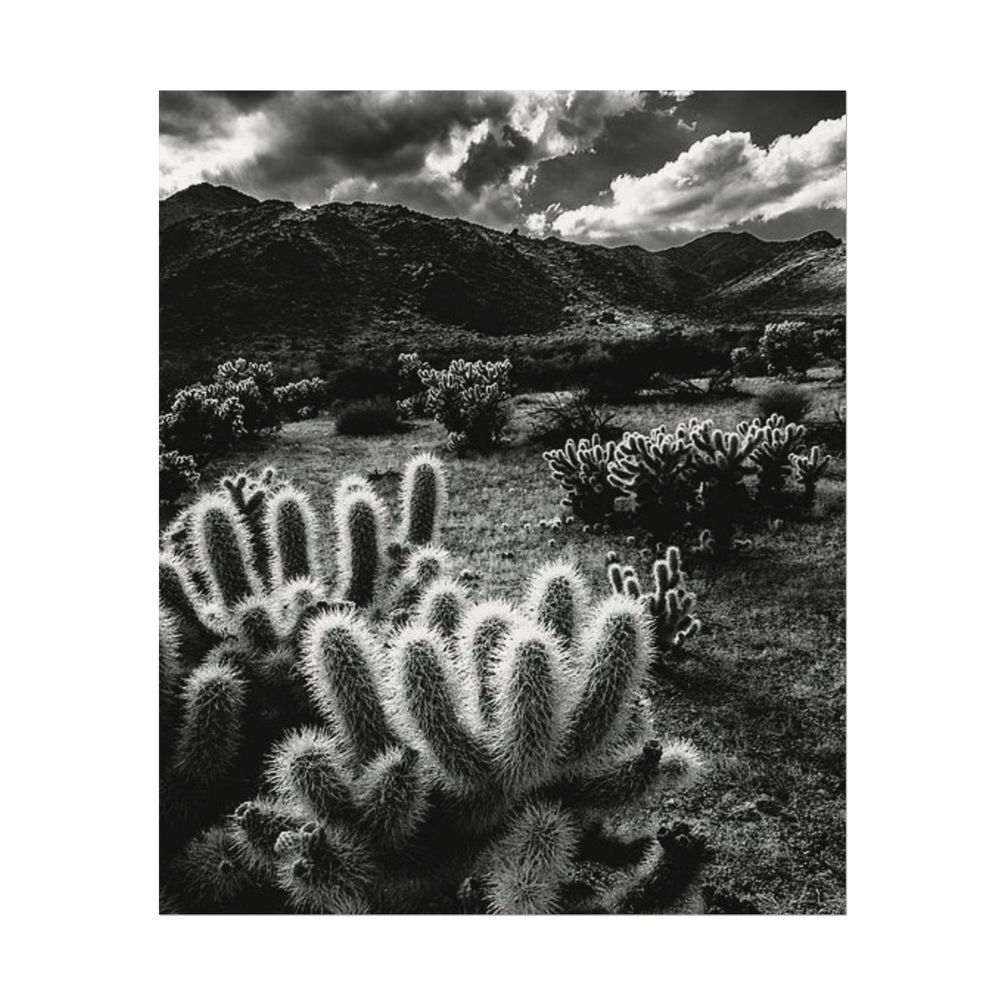 Western Desert Textured Watercolor Matte Posters