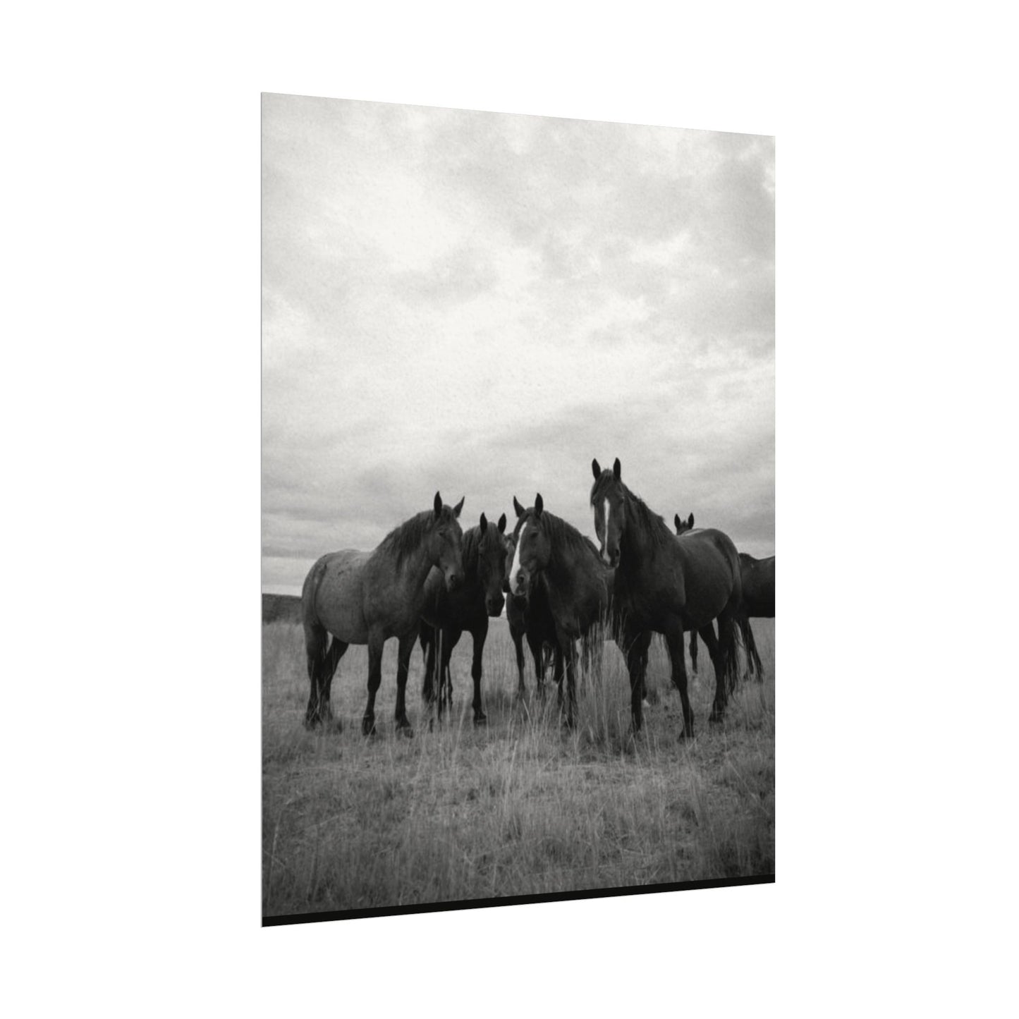 Unity In Numbers – Western Textured Watercolor Matte Posters
