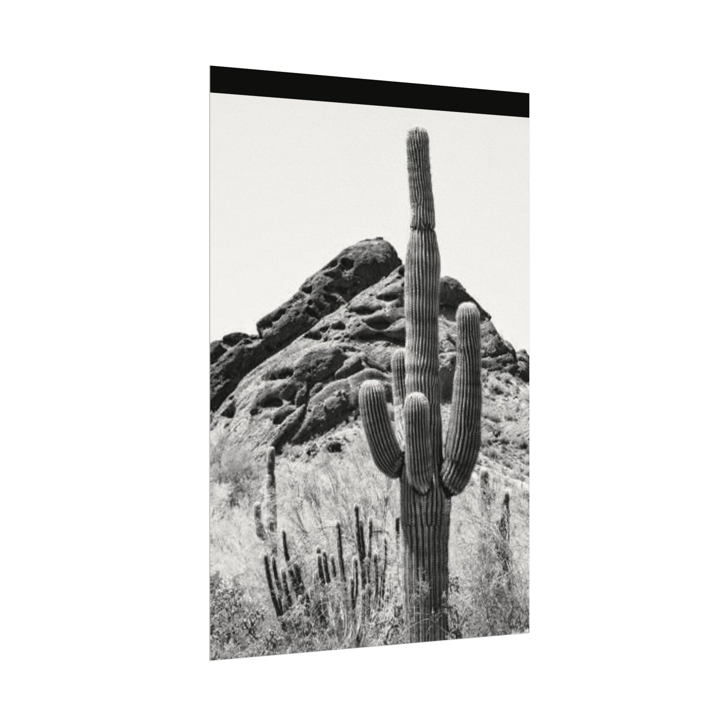 Reach For The Sky – Western Textured Watercolor Matte Posters