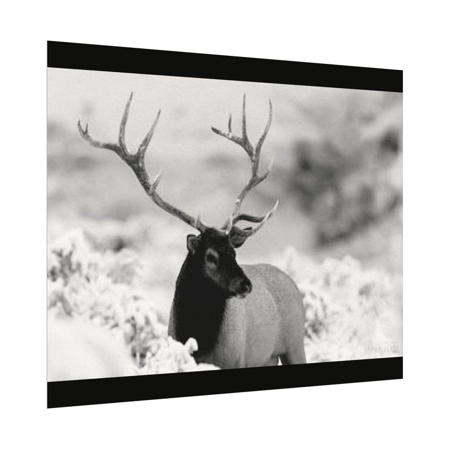 Majesty Of The North– Western Textured Watercolor Matte Posters