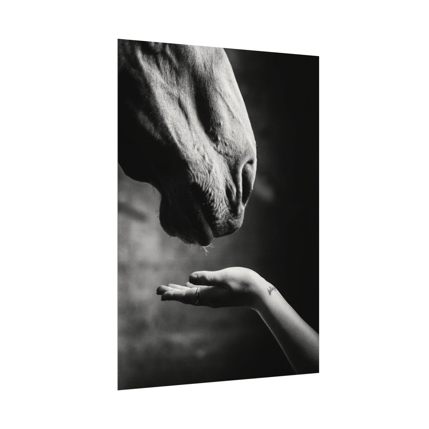 Whisper of Trust— The Unspoken Bond Textured Watercolor Matte Posters