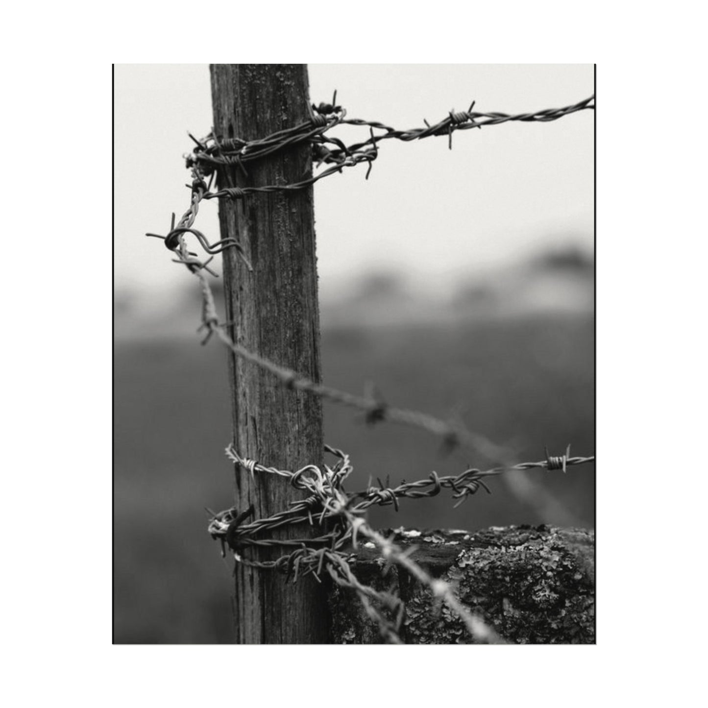 Tough As Nails – Western Textured Watercolor Matte Posters