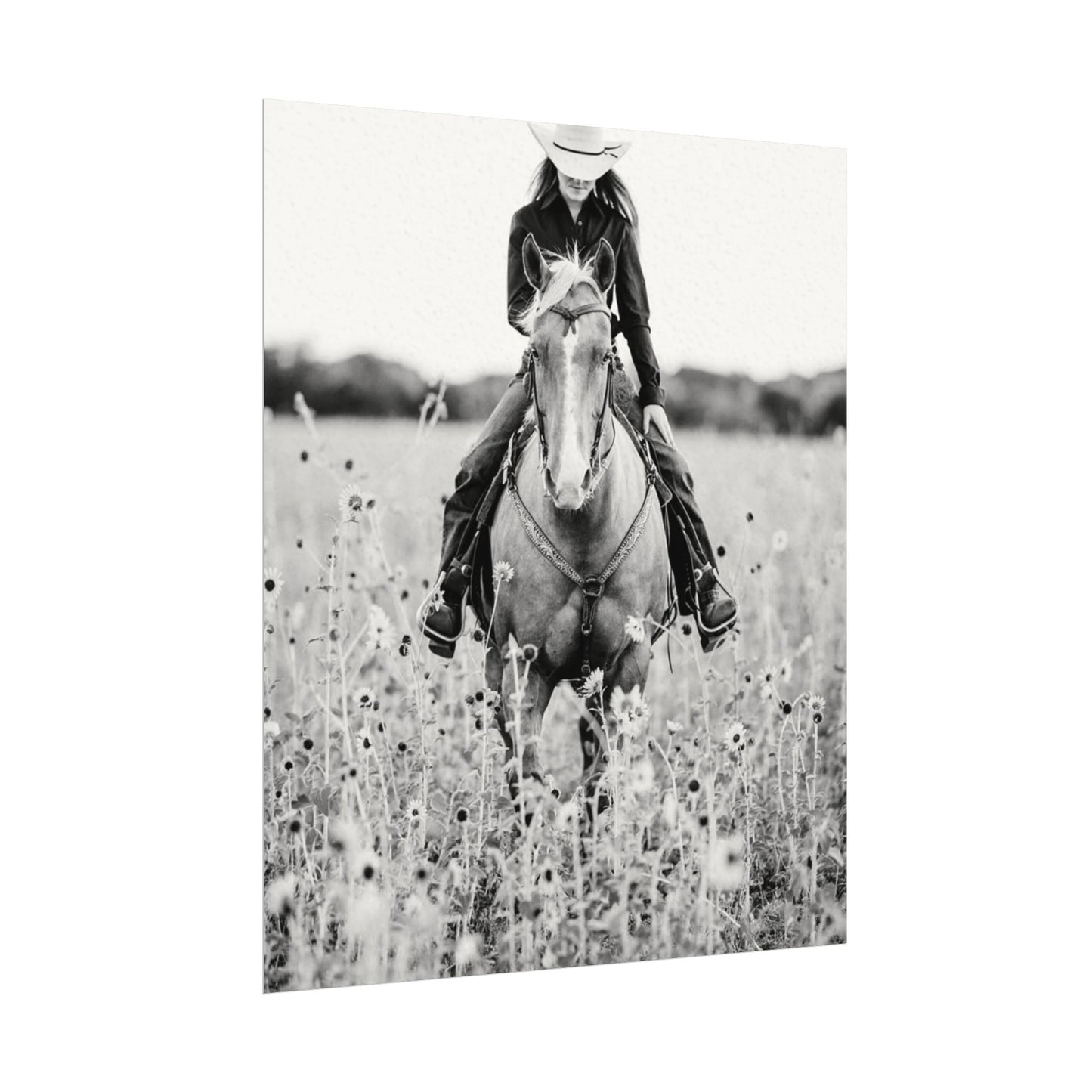 Summer Fields – Western Textured Watercolor Matte Posters