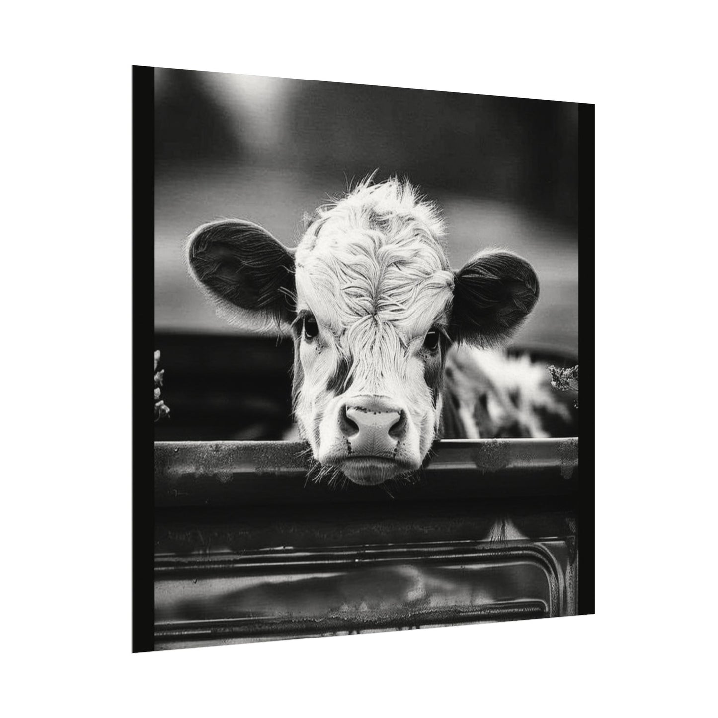 Back Seat Bovine – Western Textured Watercolor Matte Posters
