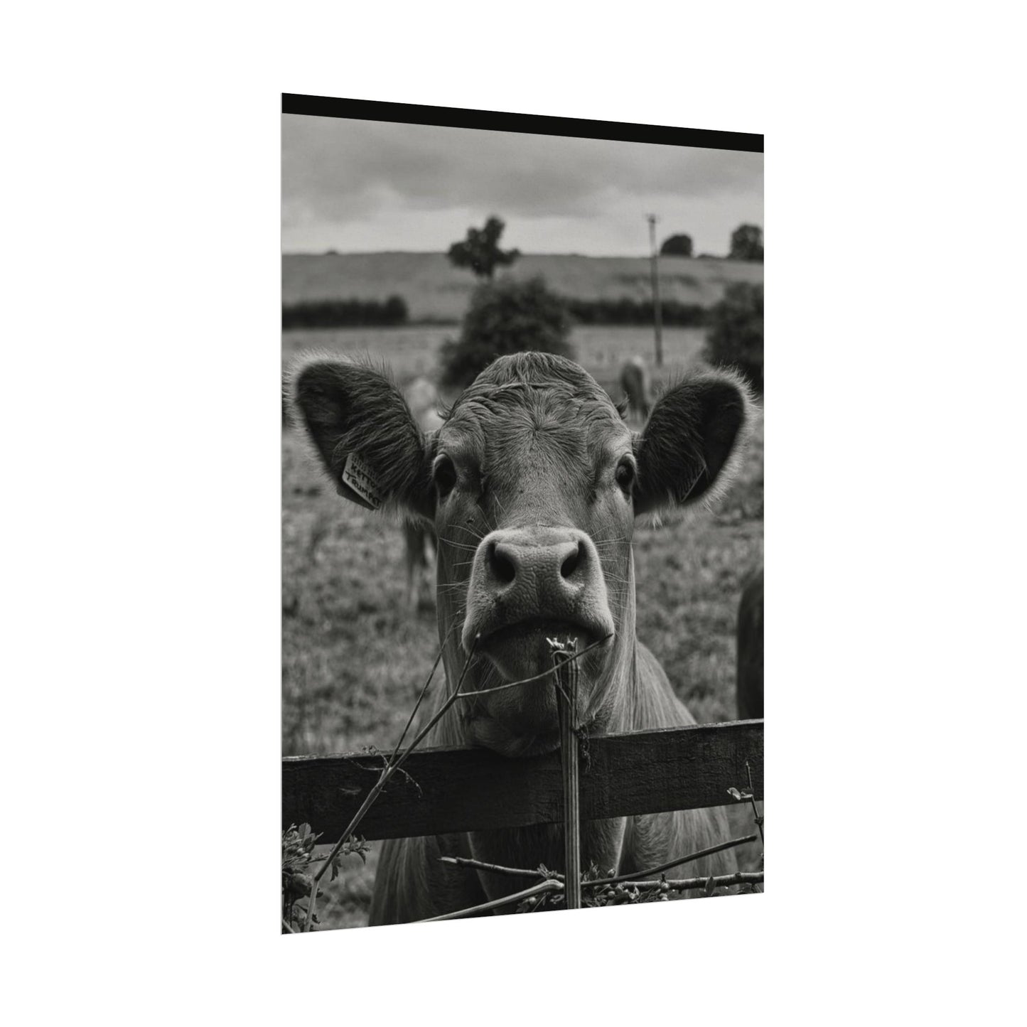 Rise & Shine – Western Textured Watercolor Matte Posters