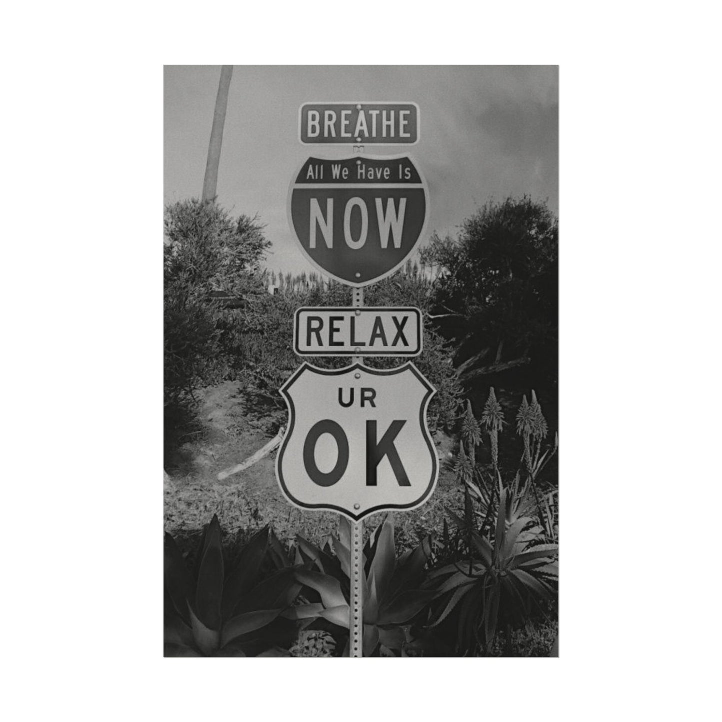 Here's Your Sign Textured Desert Watercolor Matte Posters