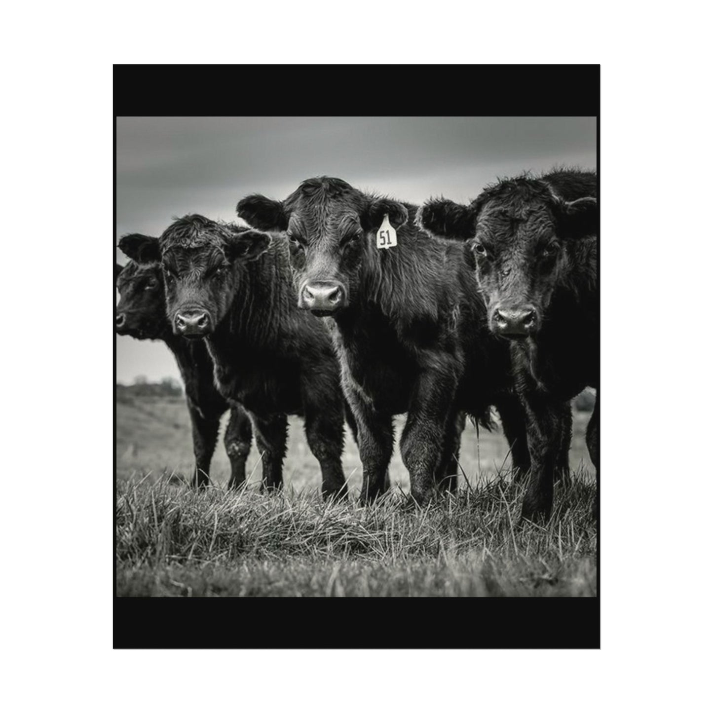 The Grazing Crew – Western Textured Watercolor Matte Posters