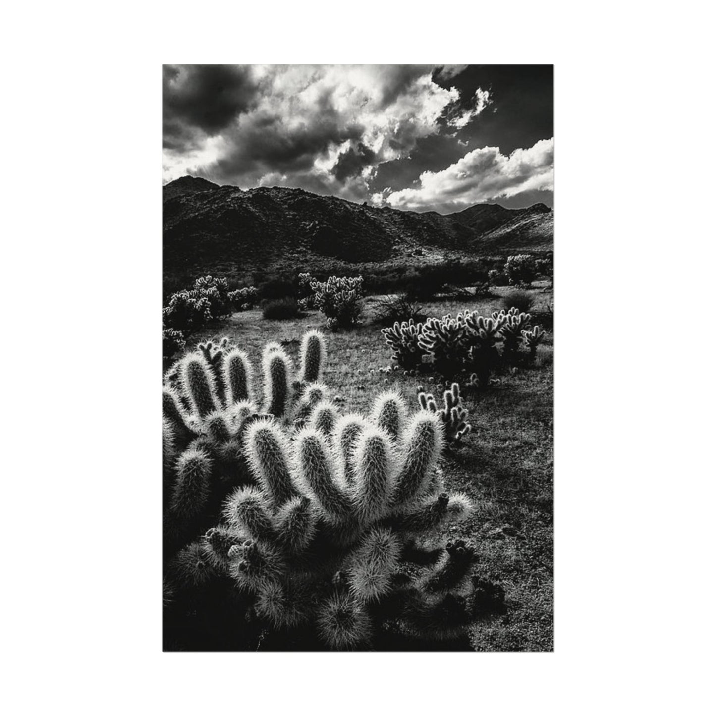 Western Desert Textured Watercolor Matte Posters