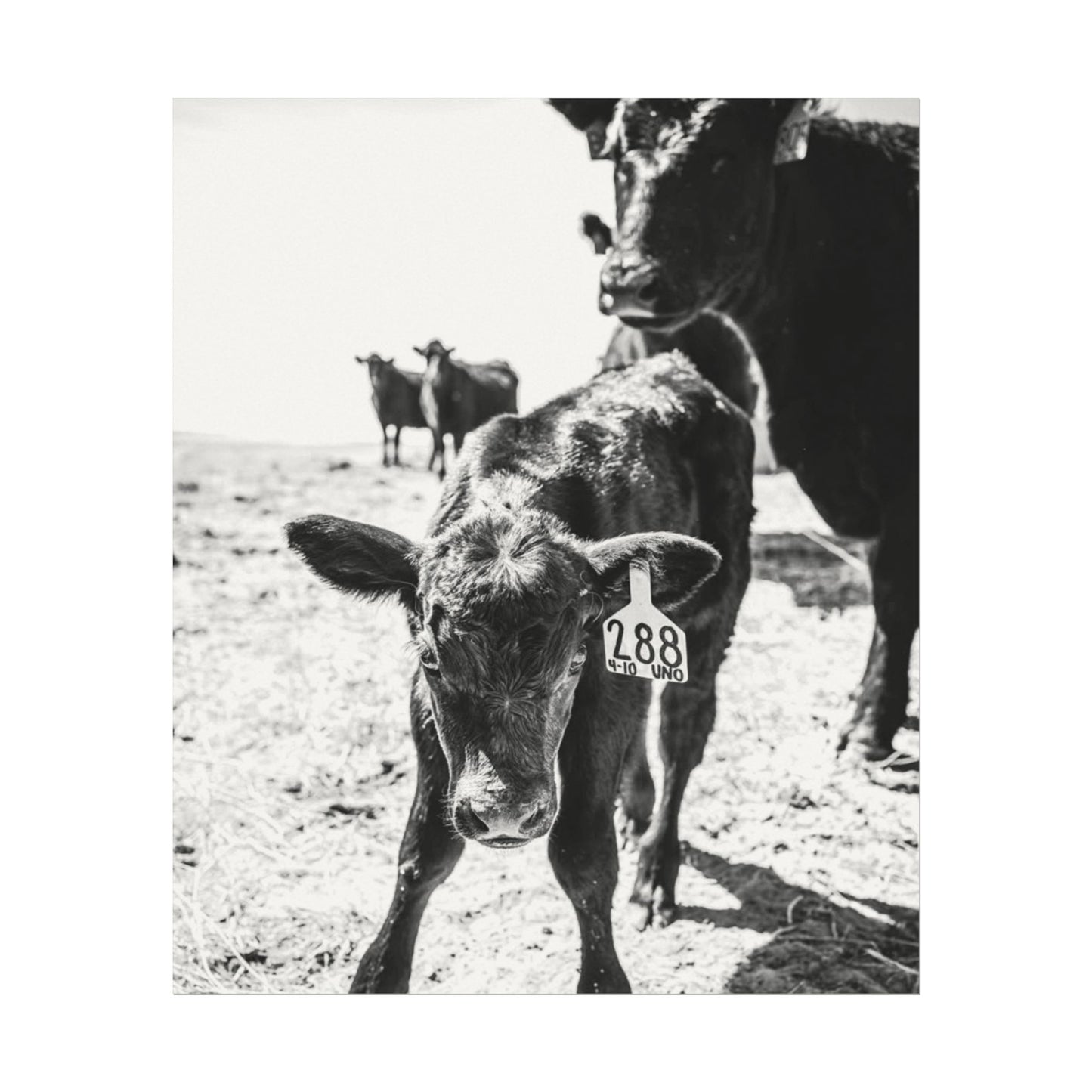 The Standing Legacy – Western Textured Watercolor Matte Posters