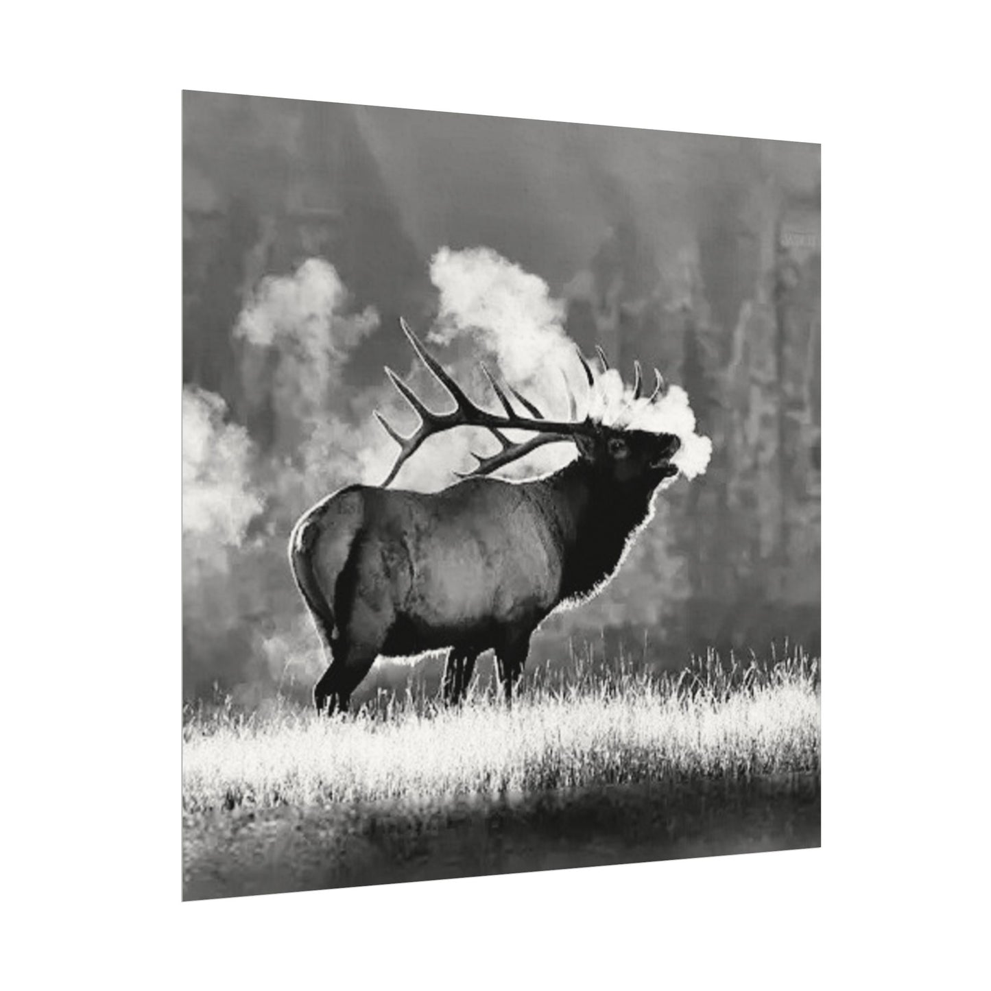 When Nature Calls– Western Textured Watercolor Matte Posters