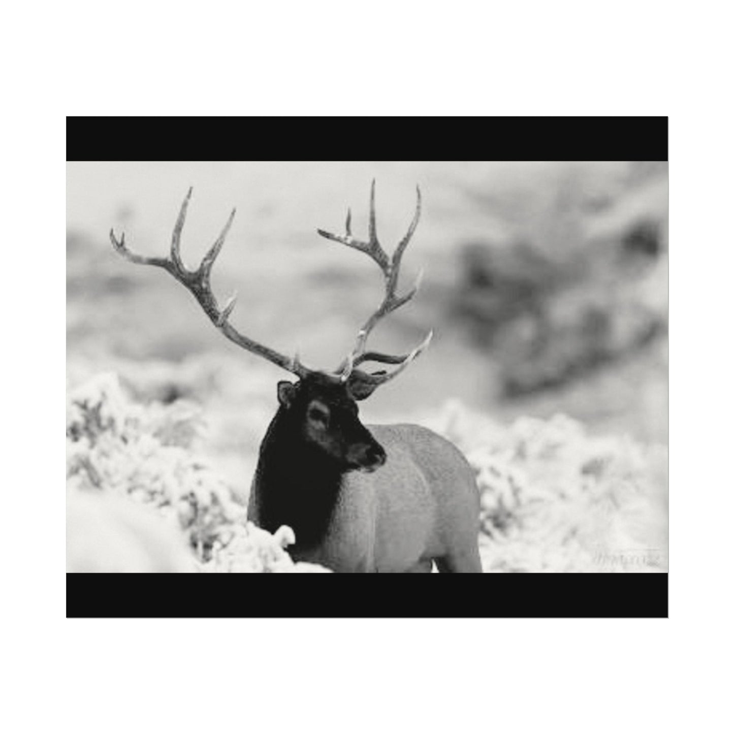 Majesty Of The North– Western Textured Watercolor Matte Posters