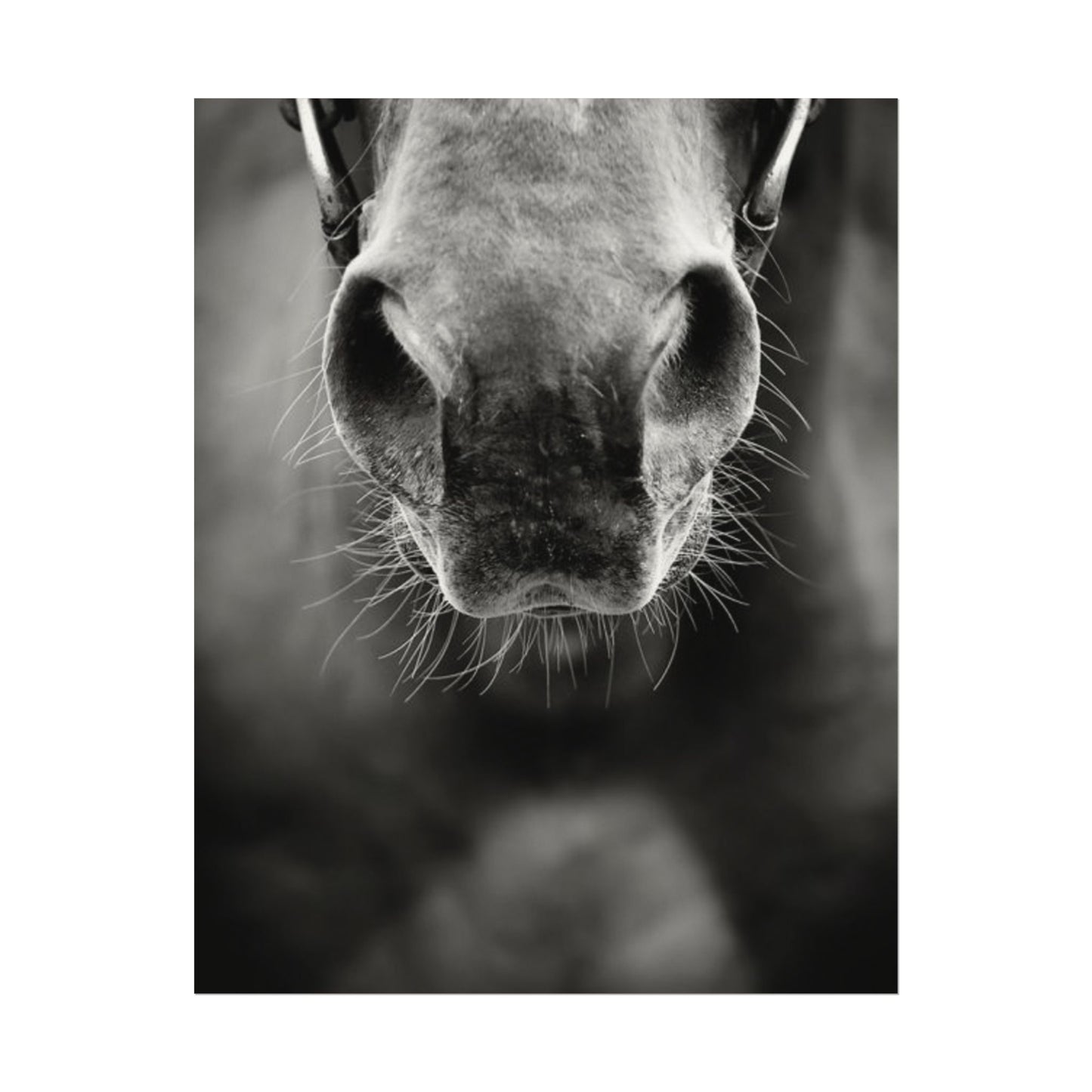 Be Patient Be Still – Western Textured Watercolor Matte Posters