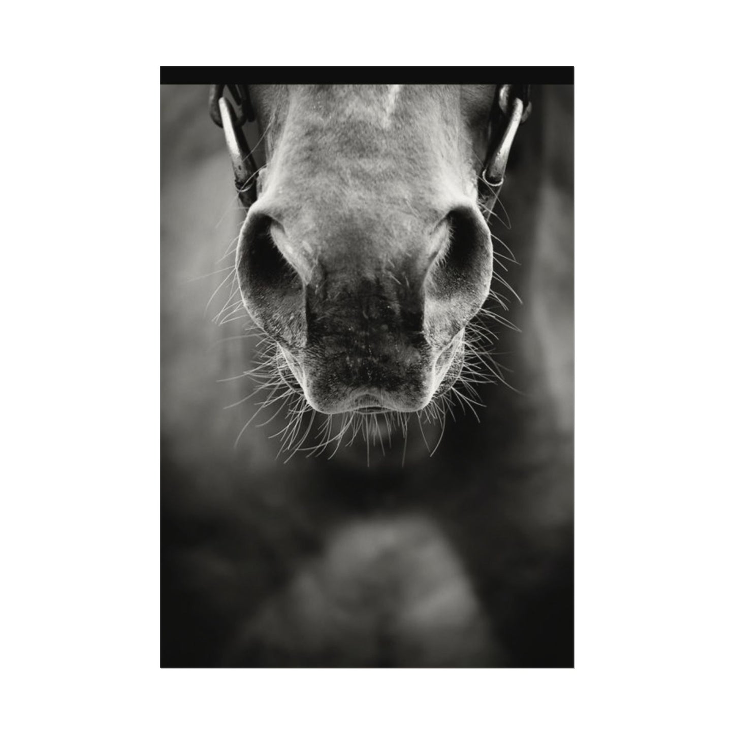 Be Patient Be Still – Western Textured Watercolor Matte Posters