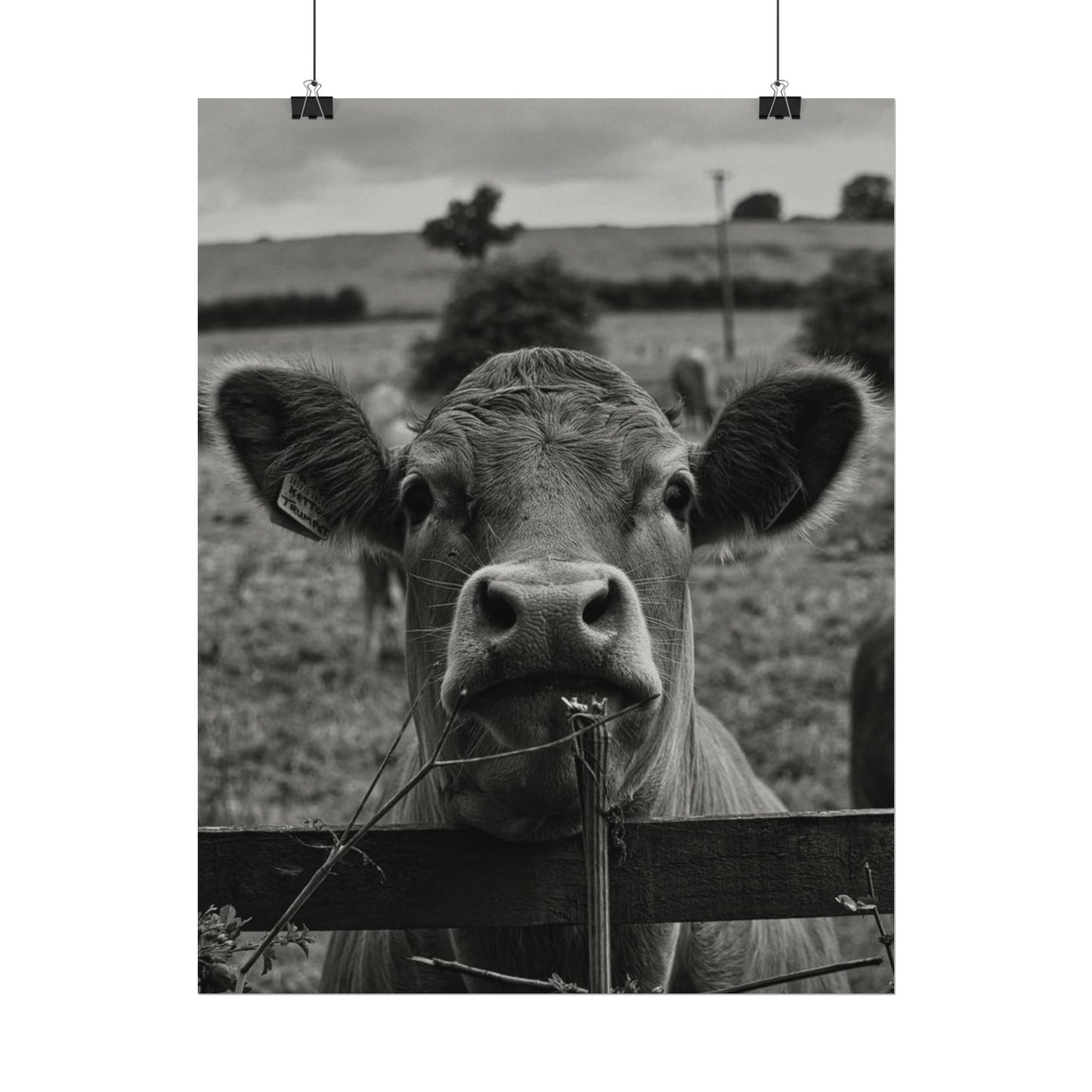 Rise & Shine – Western Textured Watercolor Matte Posters