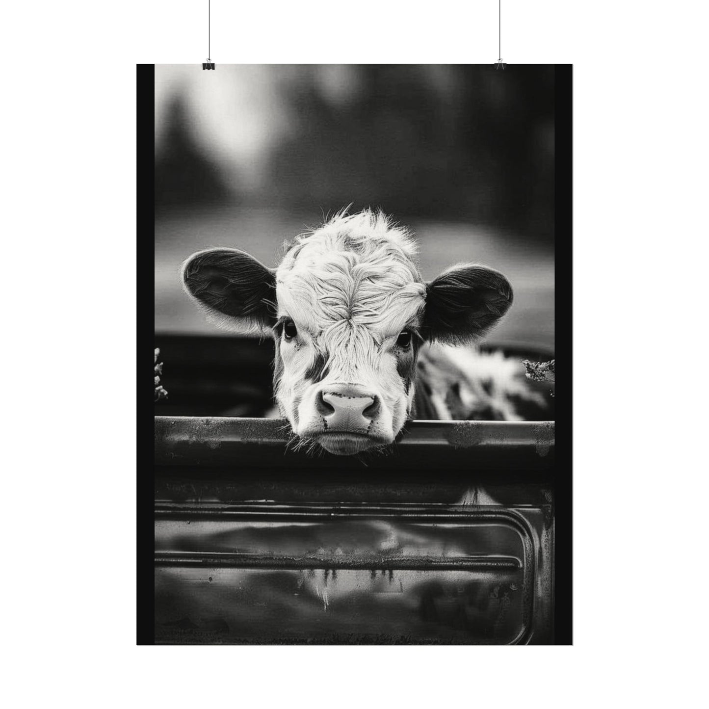 Back Seat Bovine – Western Textured Watercolor Matte Posters