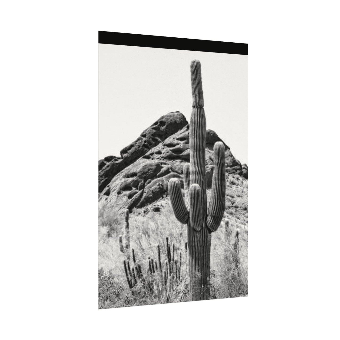 Reach For The Sky – Western Textured Watercolor Matte Posters