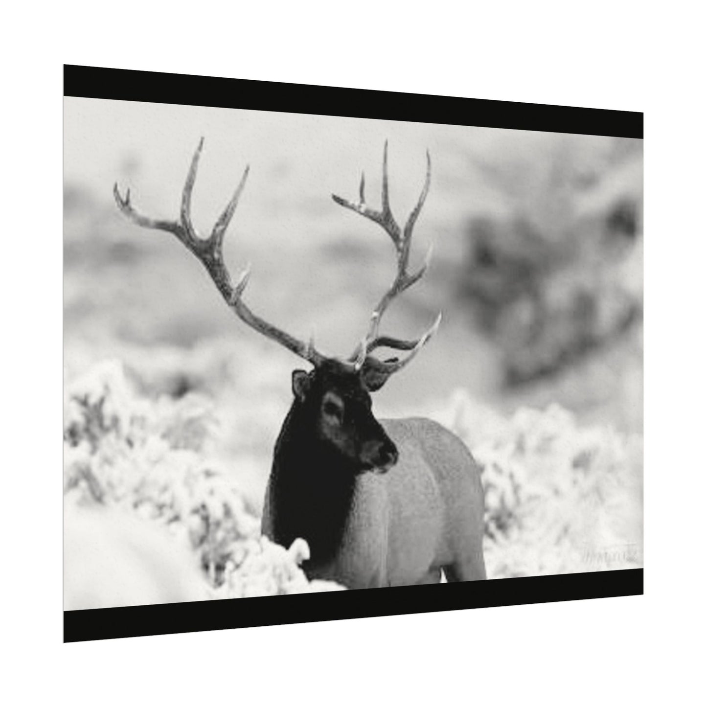 Majesty Of The North– Western Textured Watercolor Matte Posters