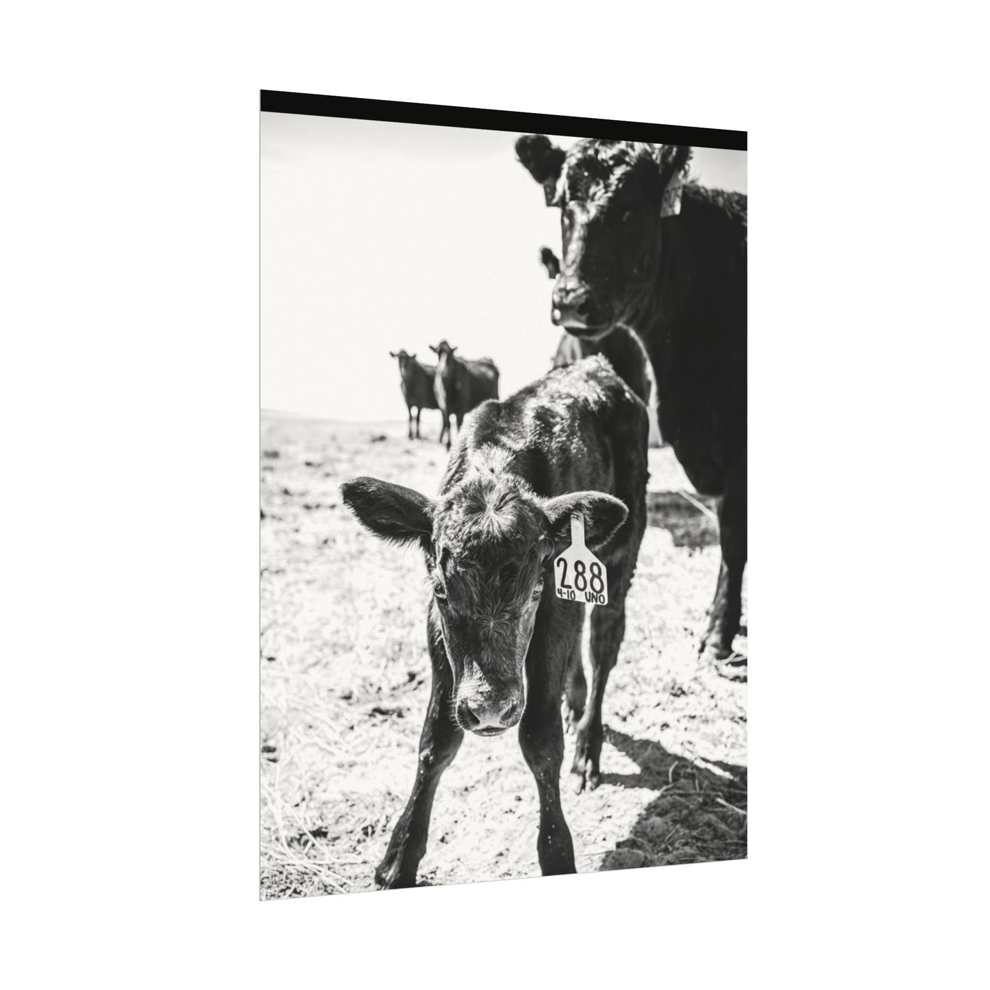 The Standing Legacy – Western Textured Watercolor Matte Posters