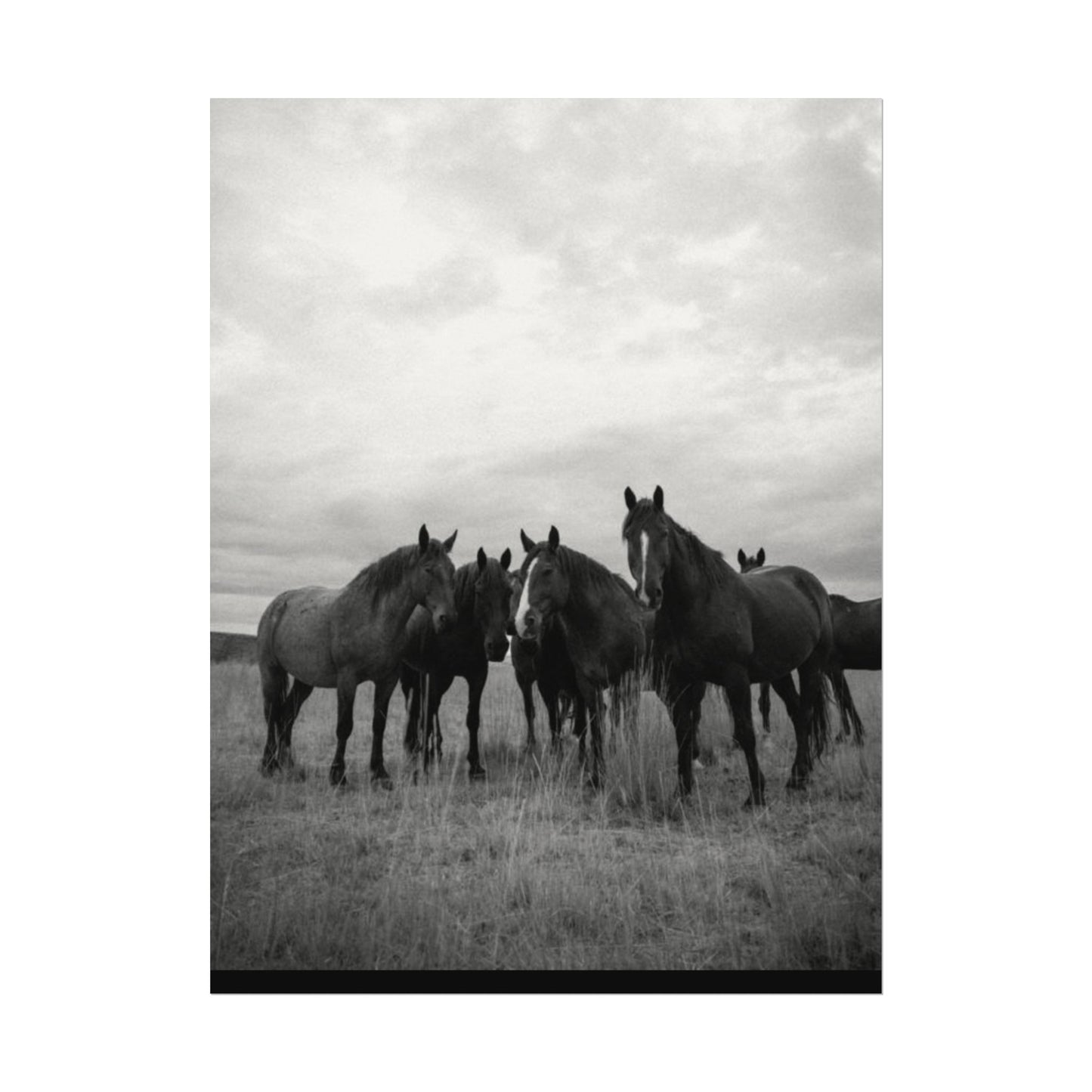 Unity In Numbers – Western Textured Watercolor Matte Posters