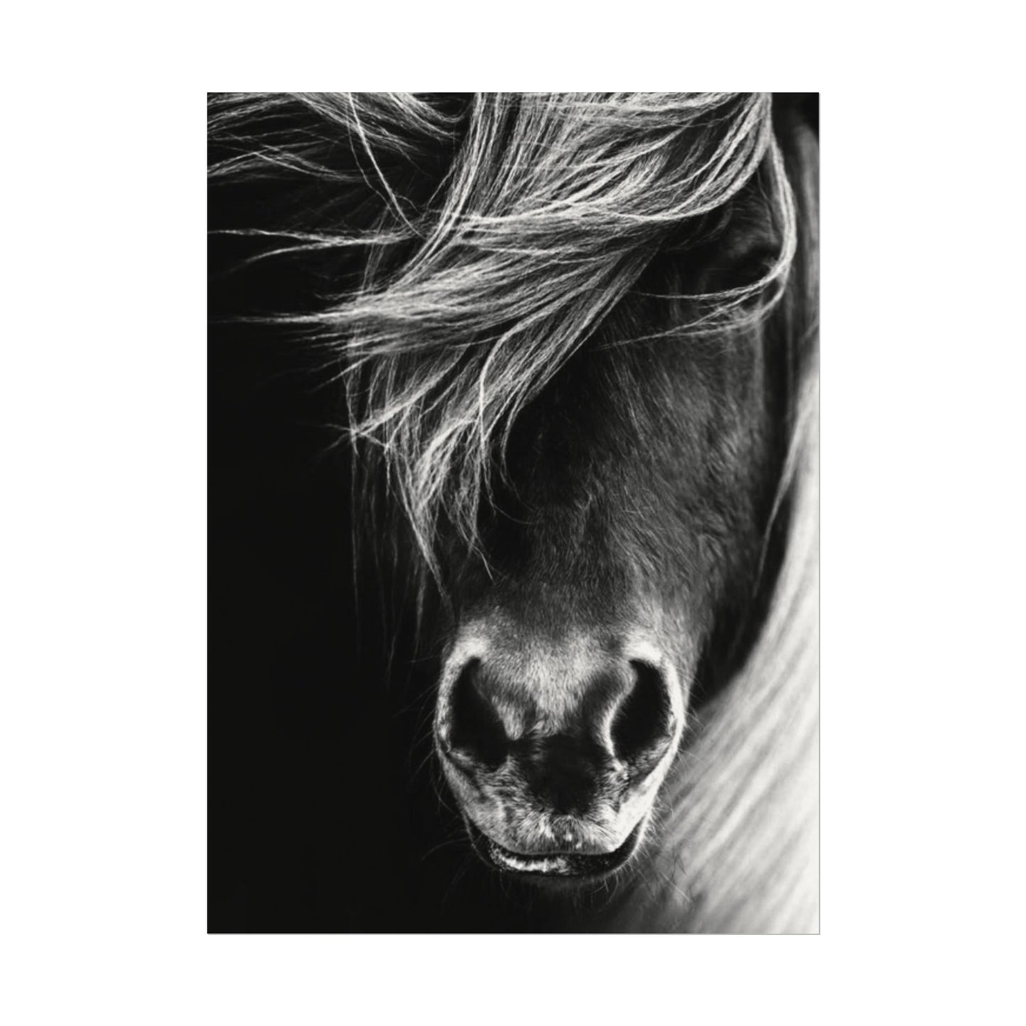 Wild Winds – Western Textured Watercolor Matte Posters