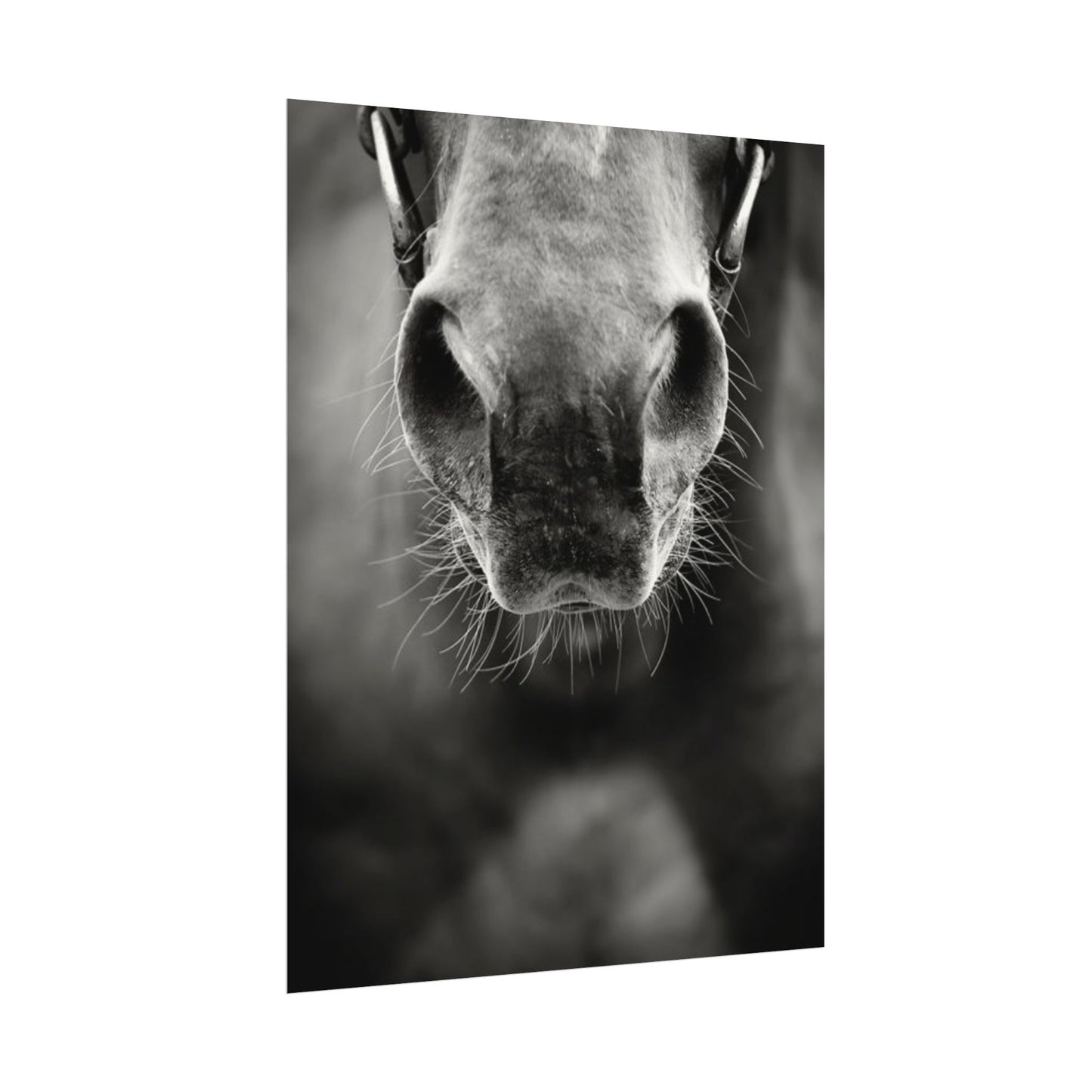 Be Patient Be Still – Western Textured Watercolor Matte Posters