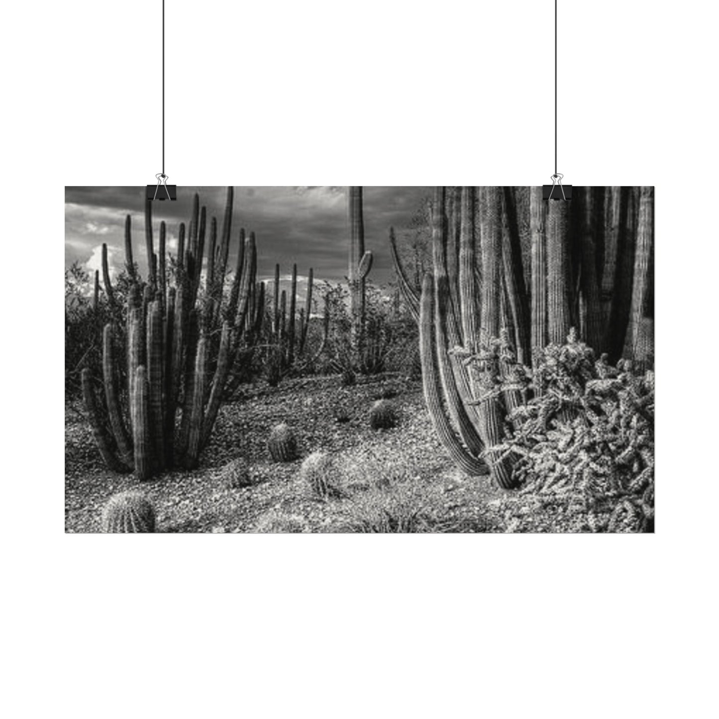 Desert Wastelands – Western Textured Watercolor Matte Posters