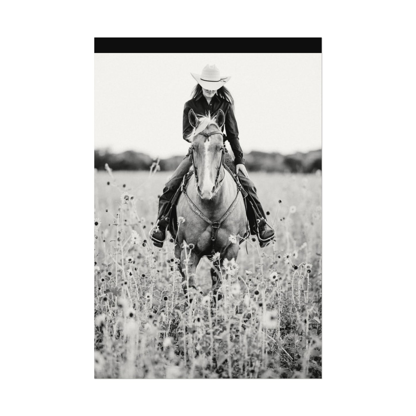 Summer Fields – Western Textured Watercolor Matte Posters