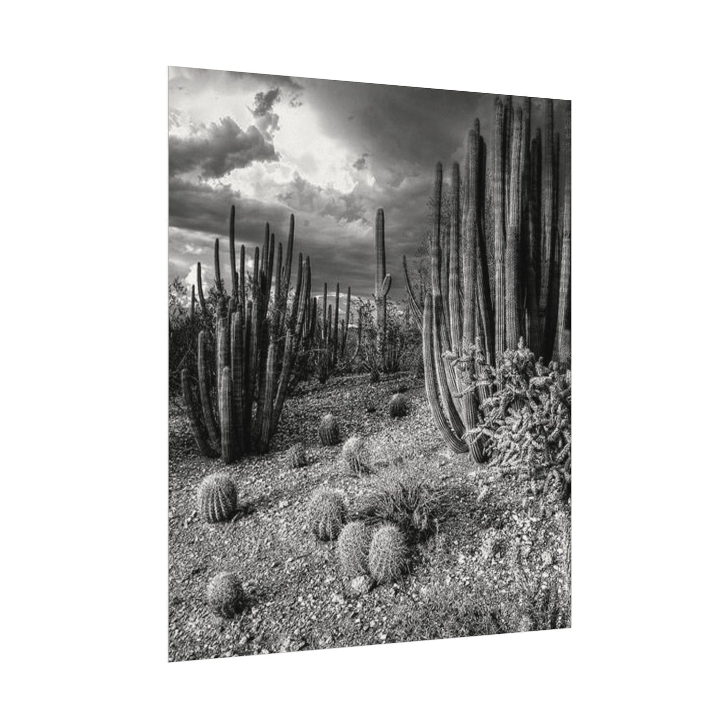 Desert Wastelands – Western Textured Watercolor Matte Posters