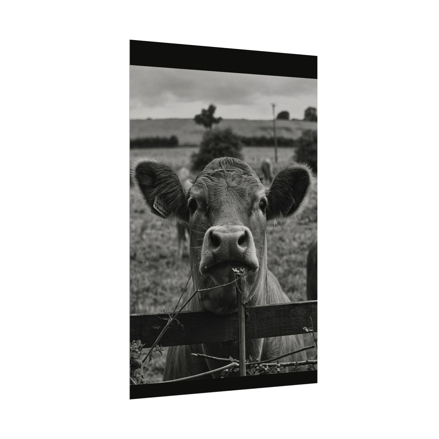 Rise & Shine – Western Textured Watercolor Matte Posters