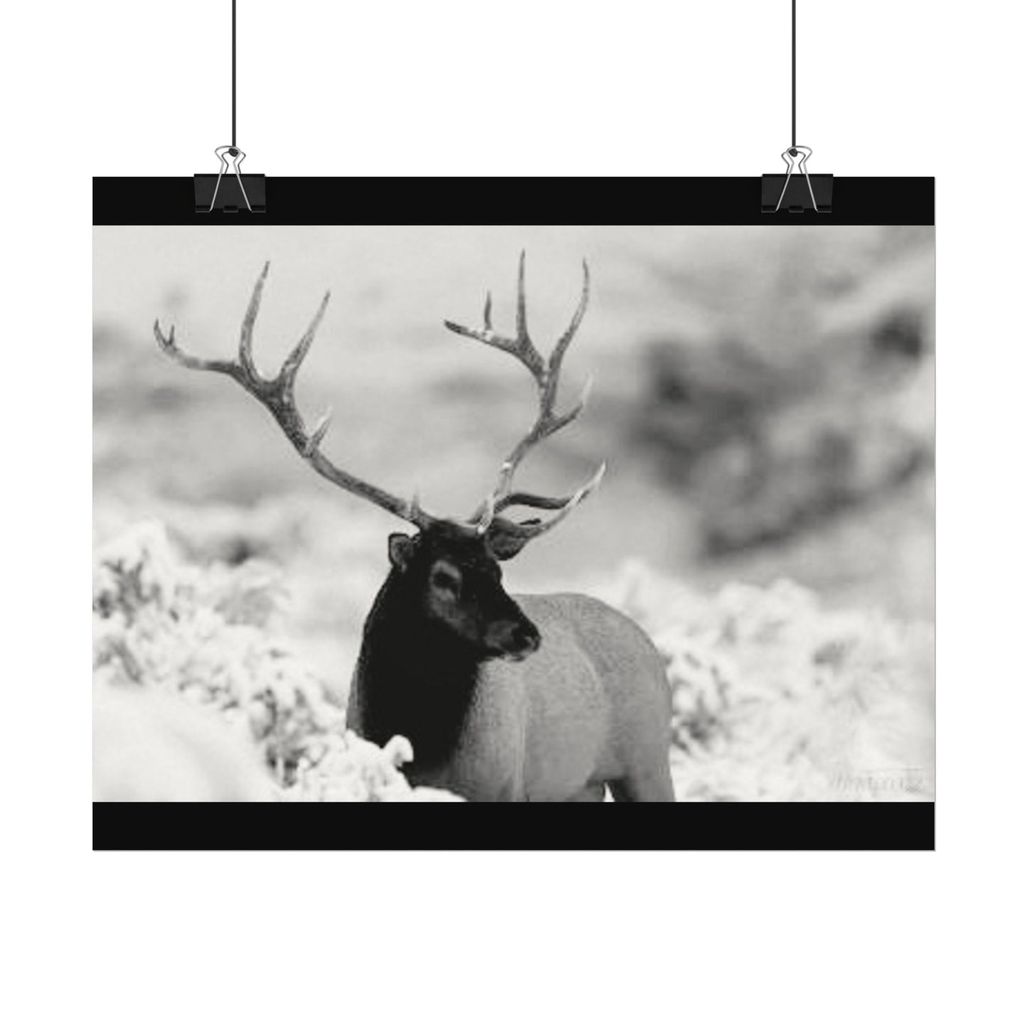 Majesty Of The North– Western Textured Watercolor Matte Posters