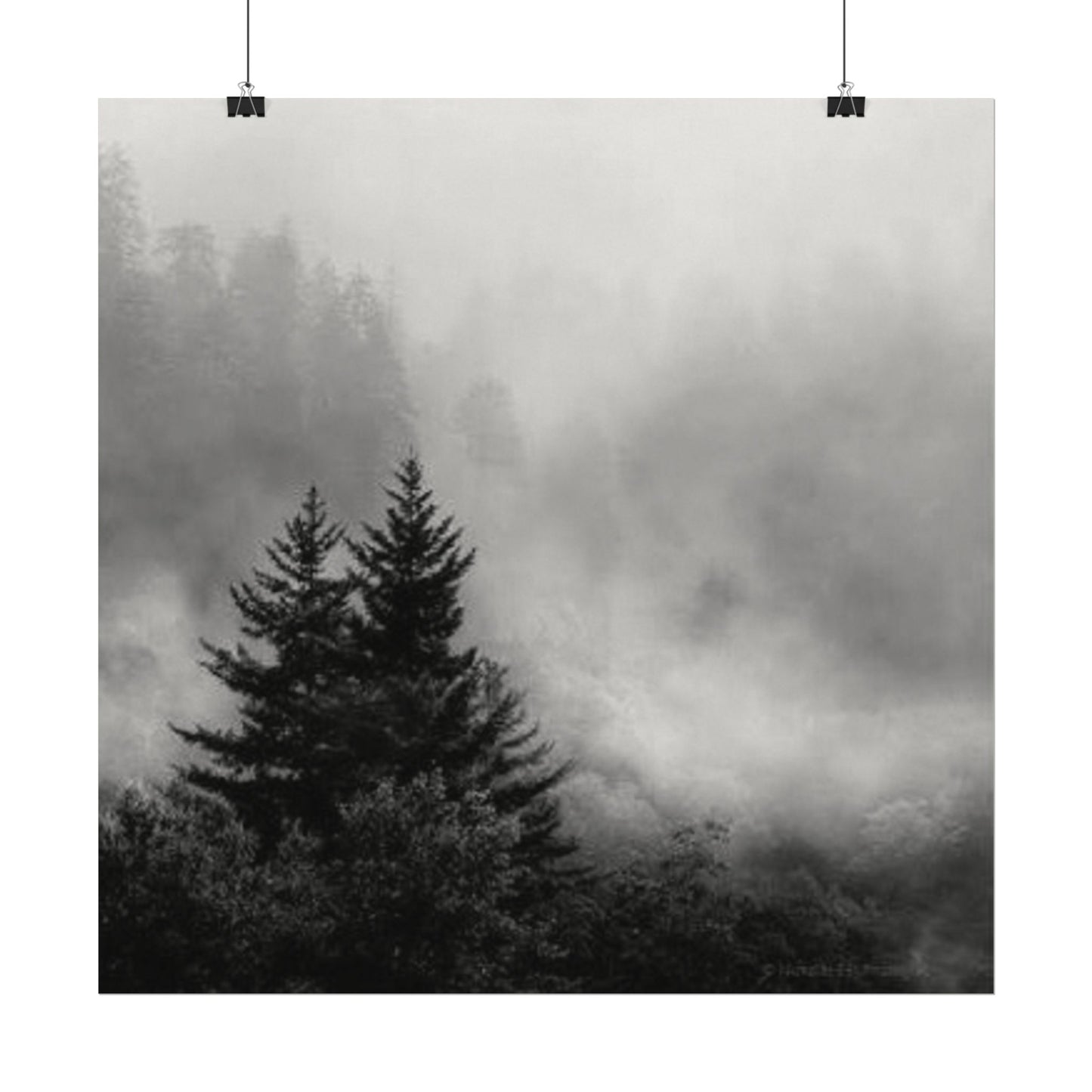 Forrest Through The Pines– Western Textured Watercolor Matte Posters