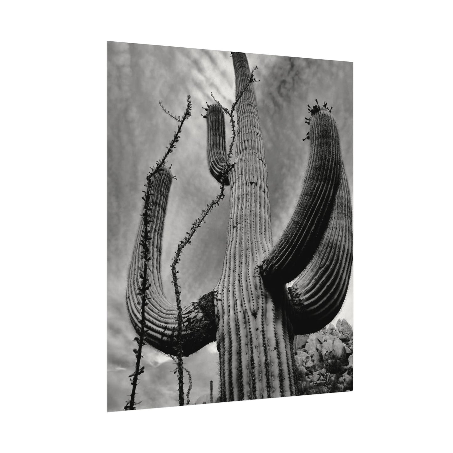 Desert Heights – Western Textured Watercolor Matte Posters